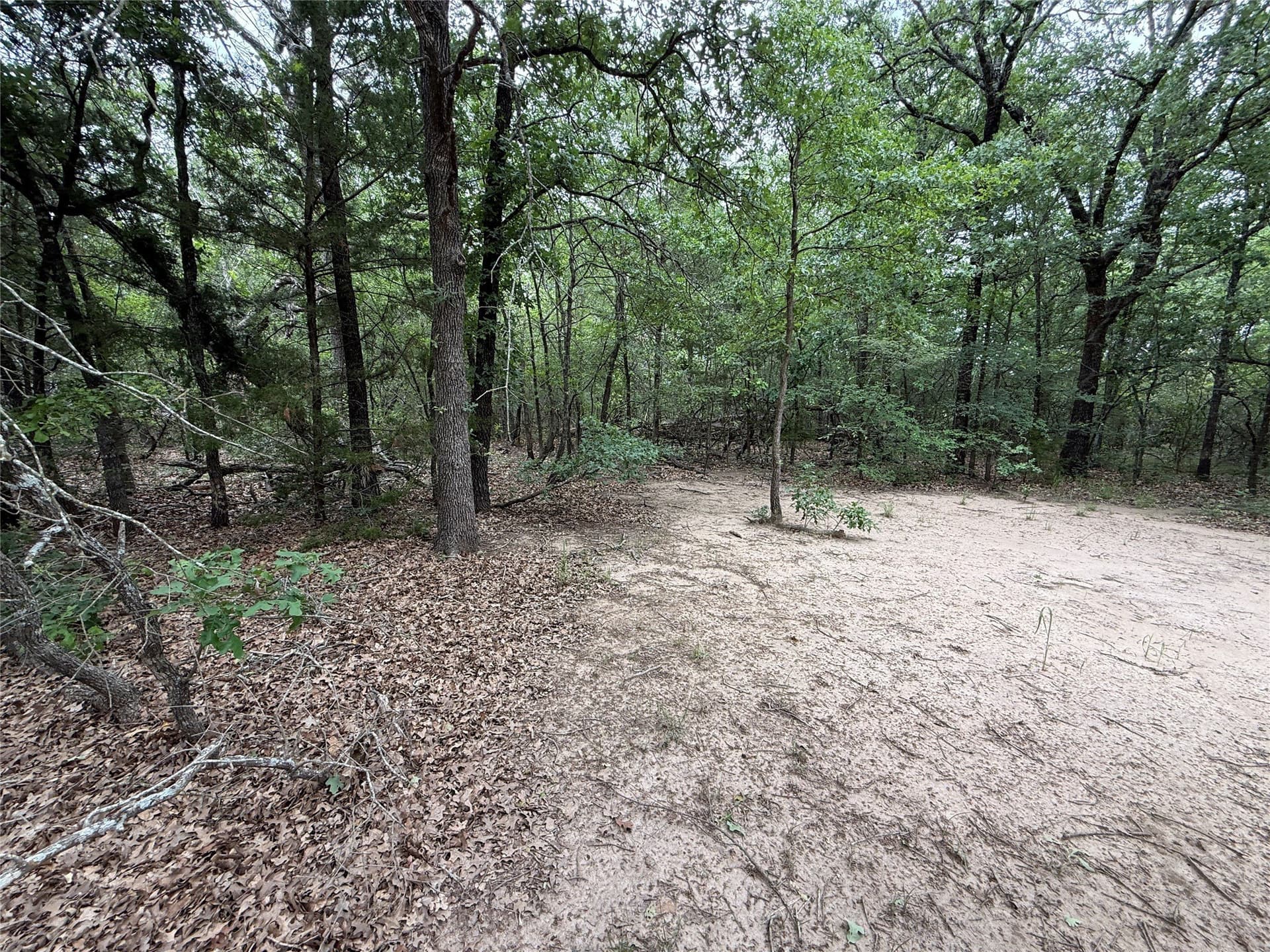 27.54 acres in Navarro County - photo 20