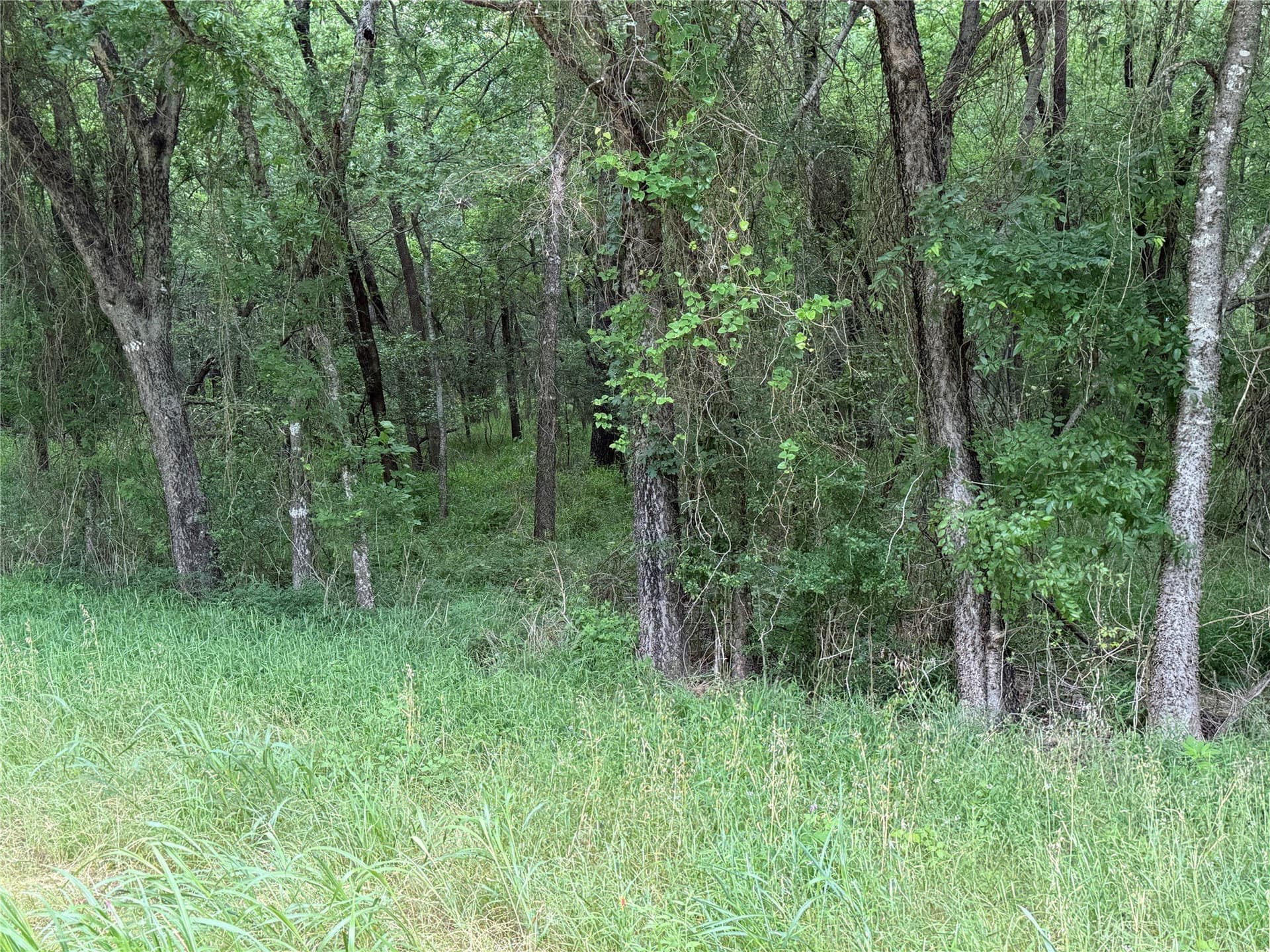 27.54 acres in Navarro County - photo 39