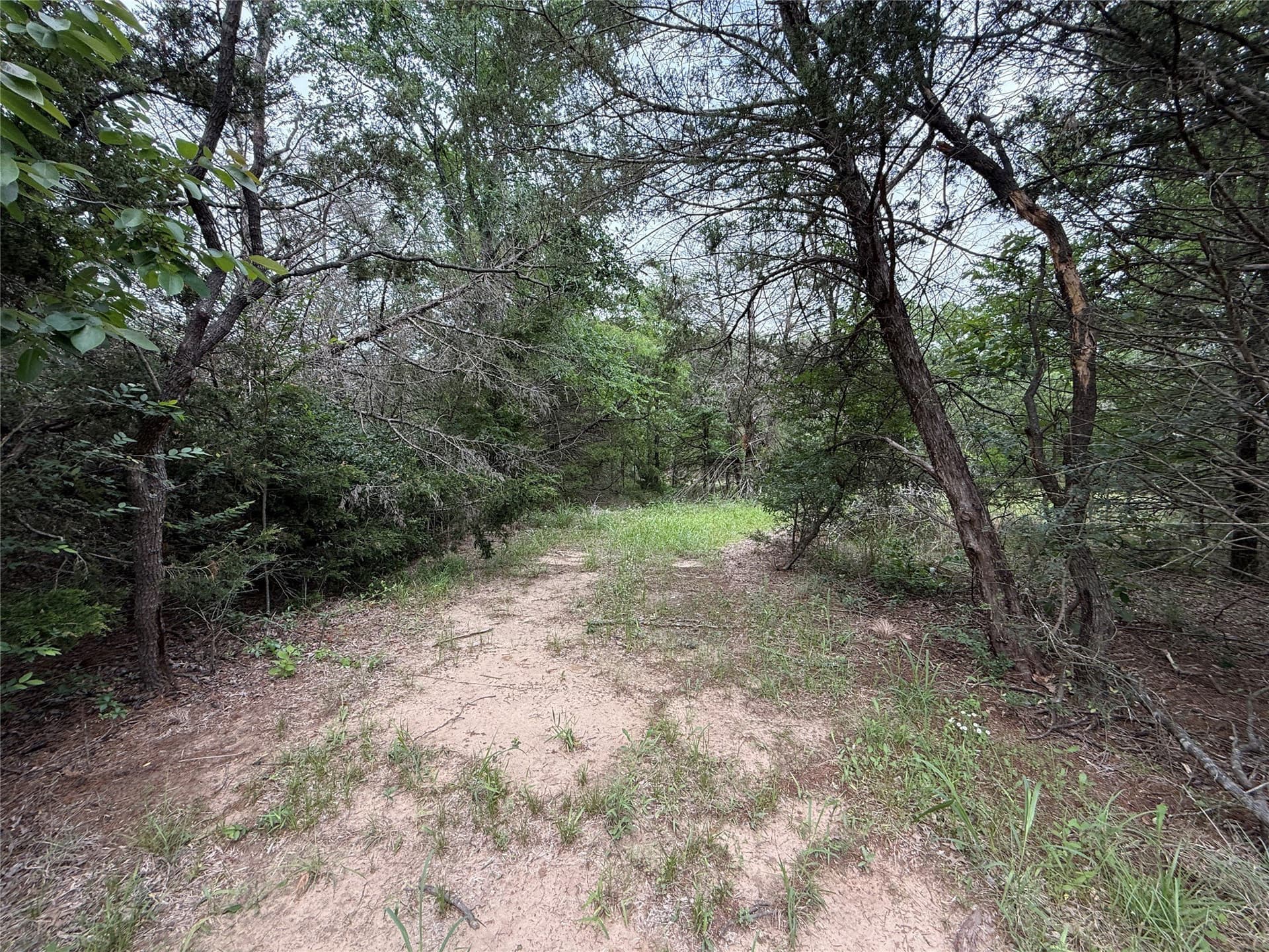 27.54 acres in Navarro County - photo 15