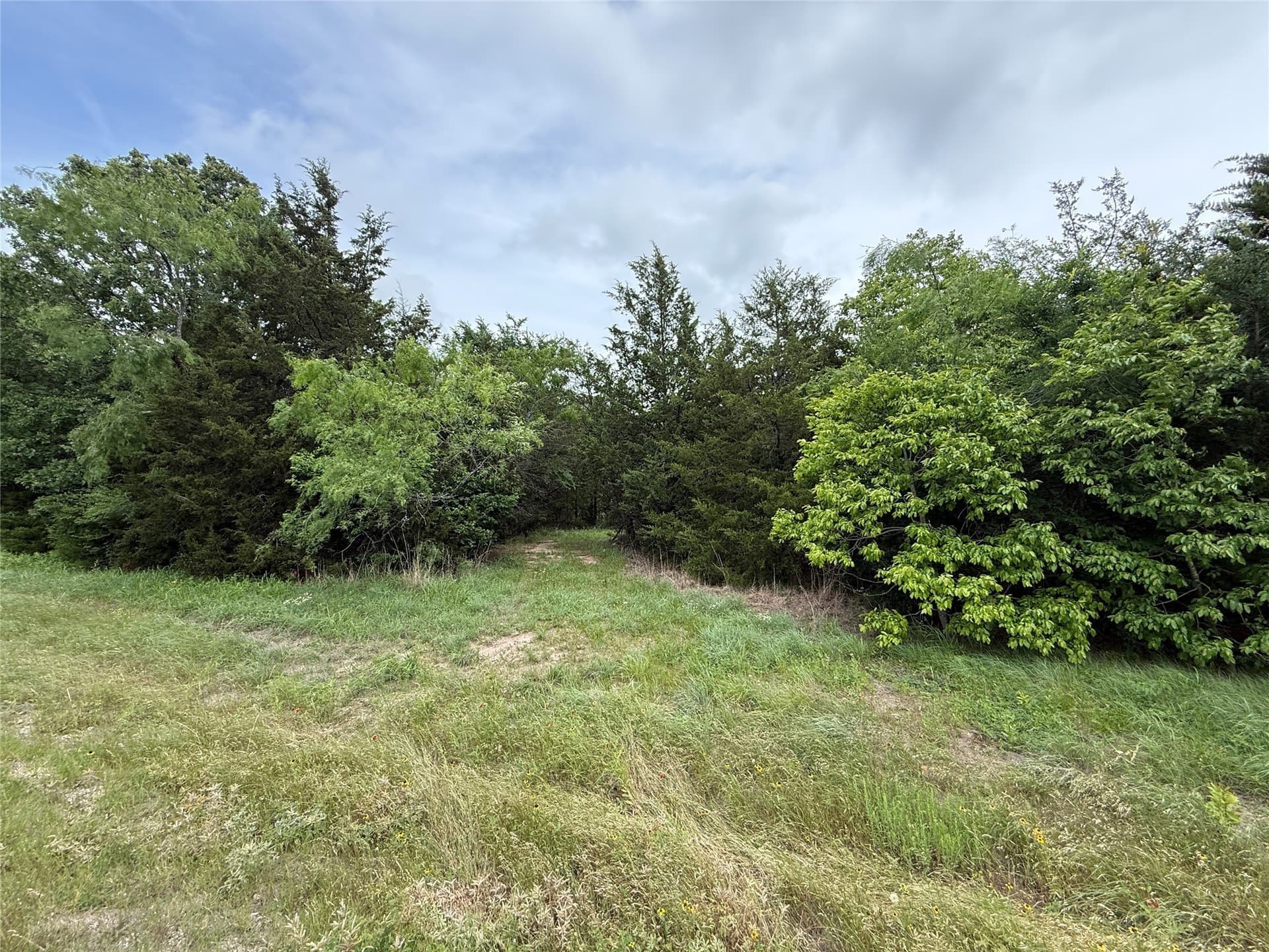 27 acres in Navarro County gallery image 4