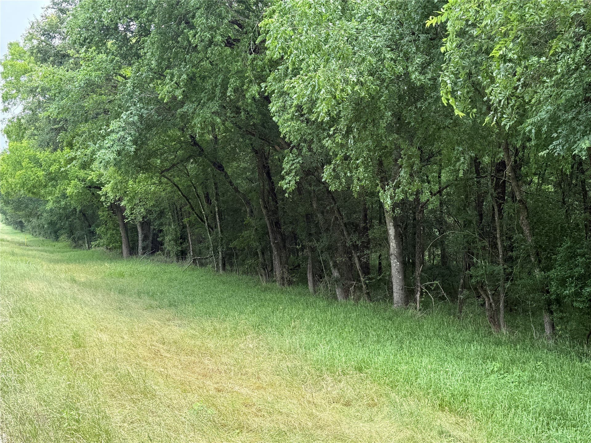 27.54 acres in Navarro County - photo 38