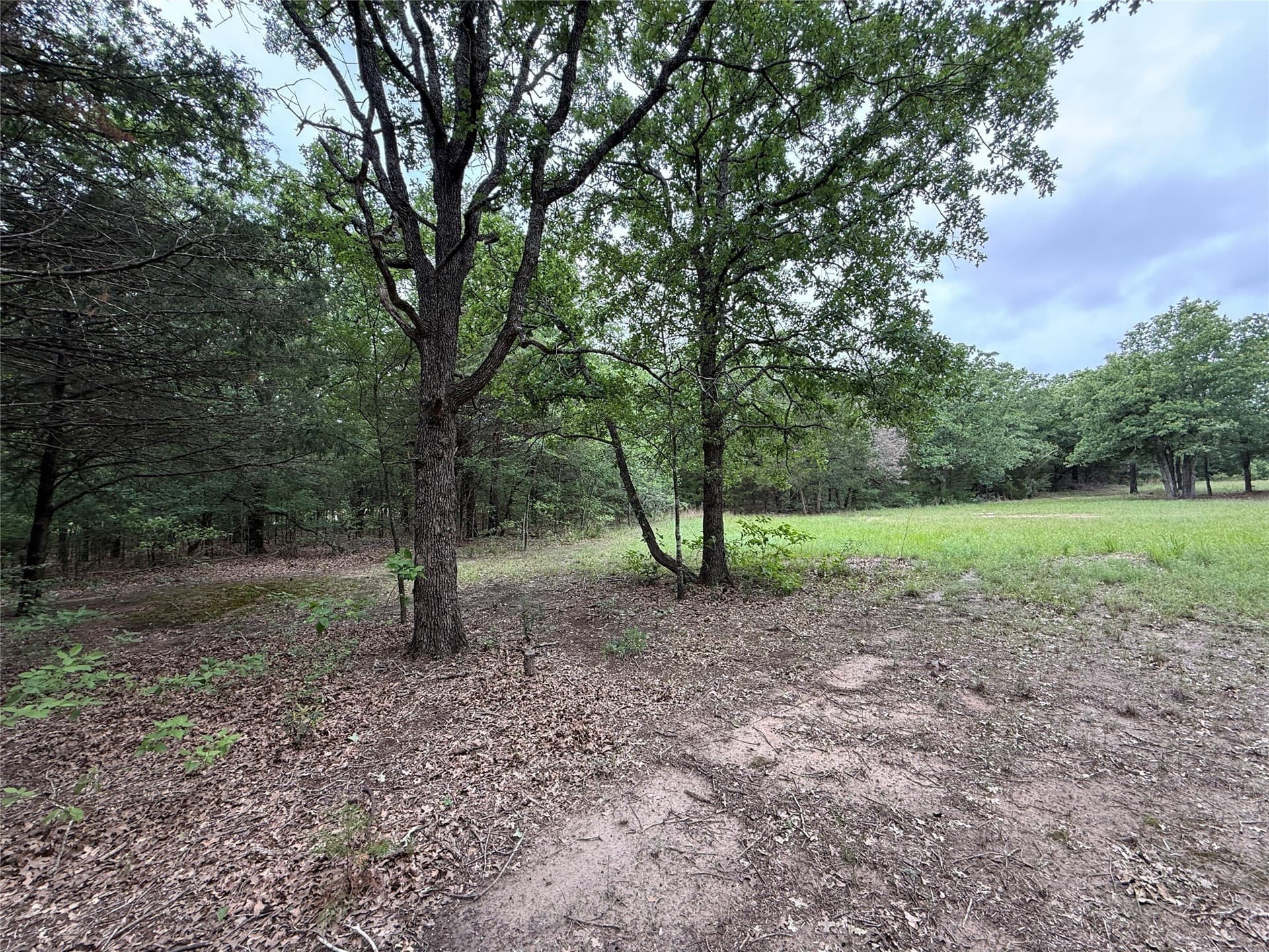27.54 acres in Navarro County - photo 14