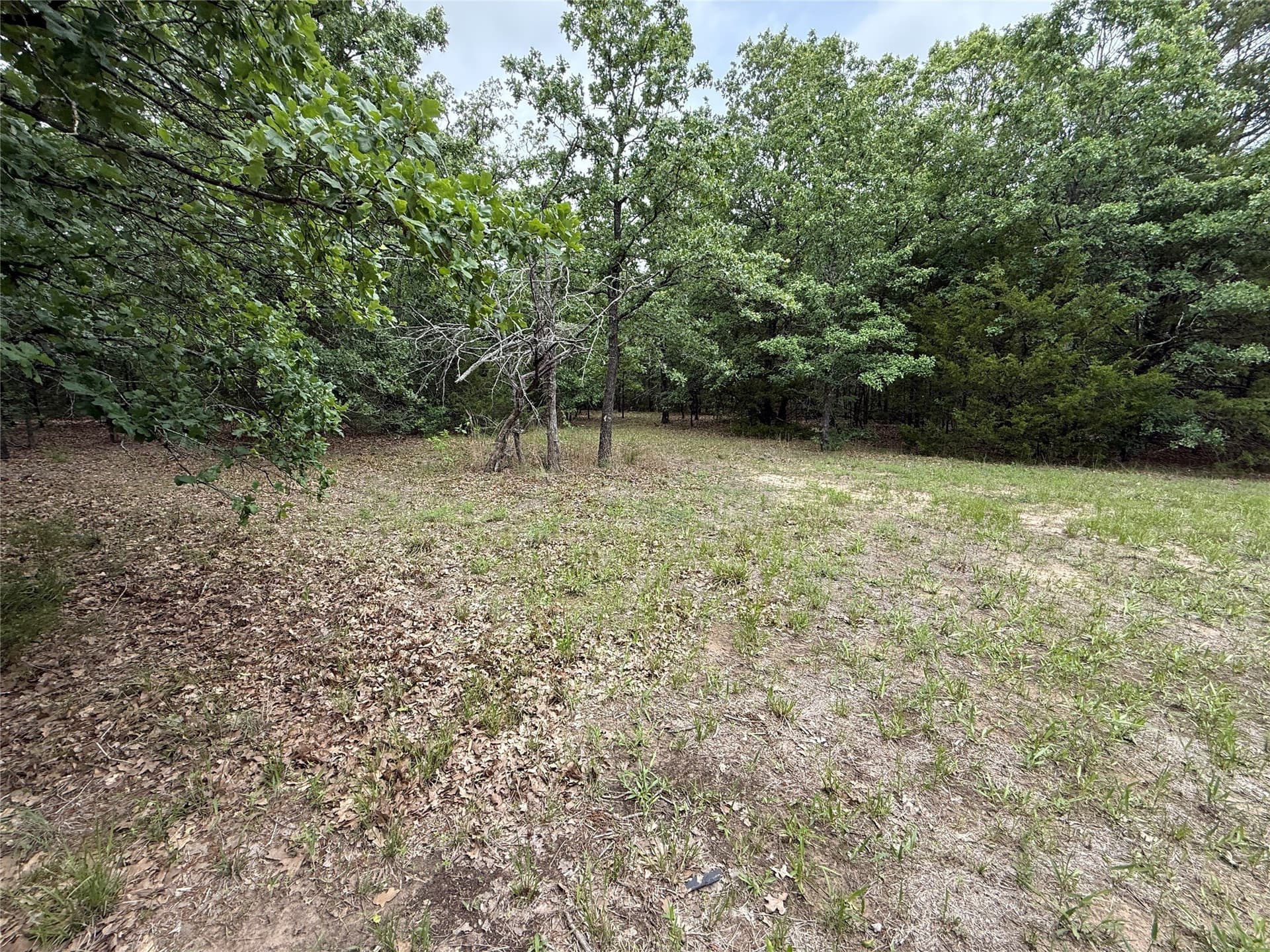 27.54 acres in Navarro County - photo 16
