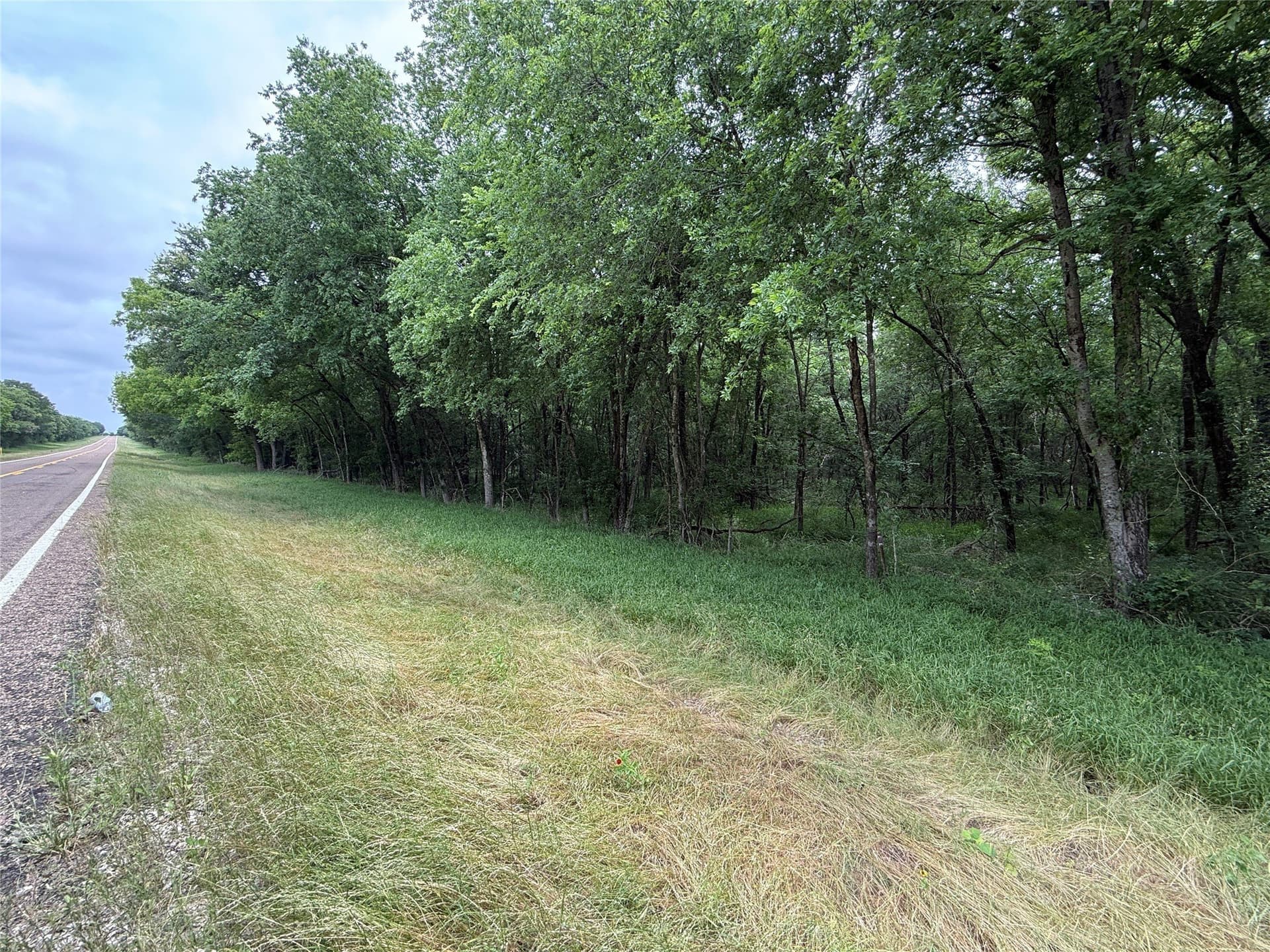 27.54 acres in Navarro County - photo 37