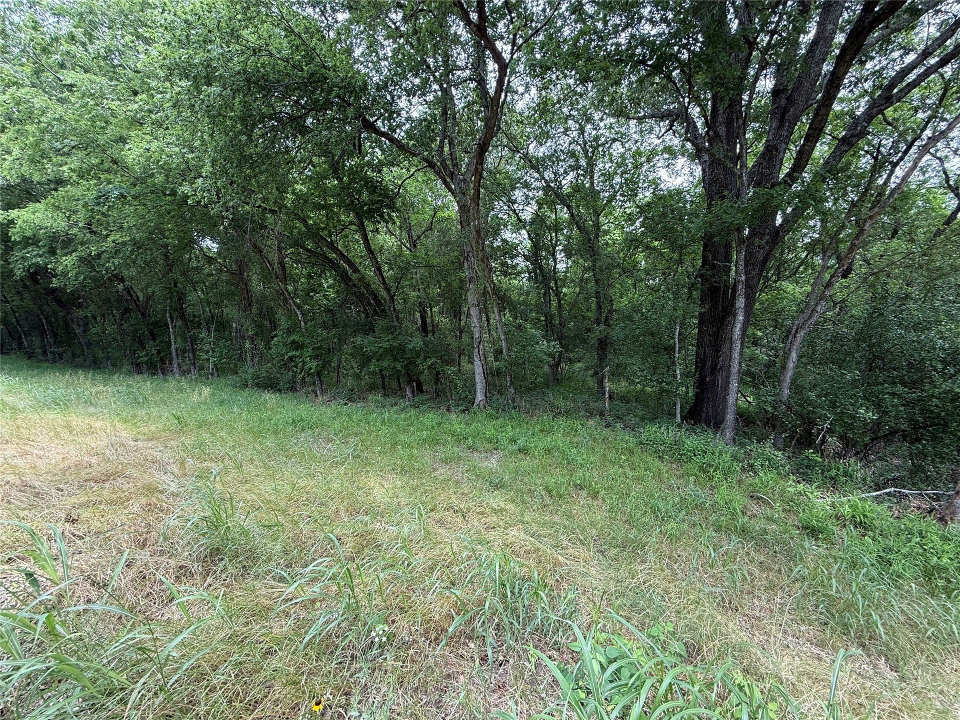27.54 acres in Navarro County - photo 34