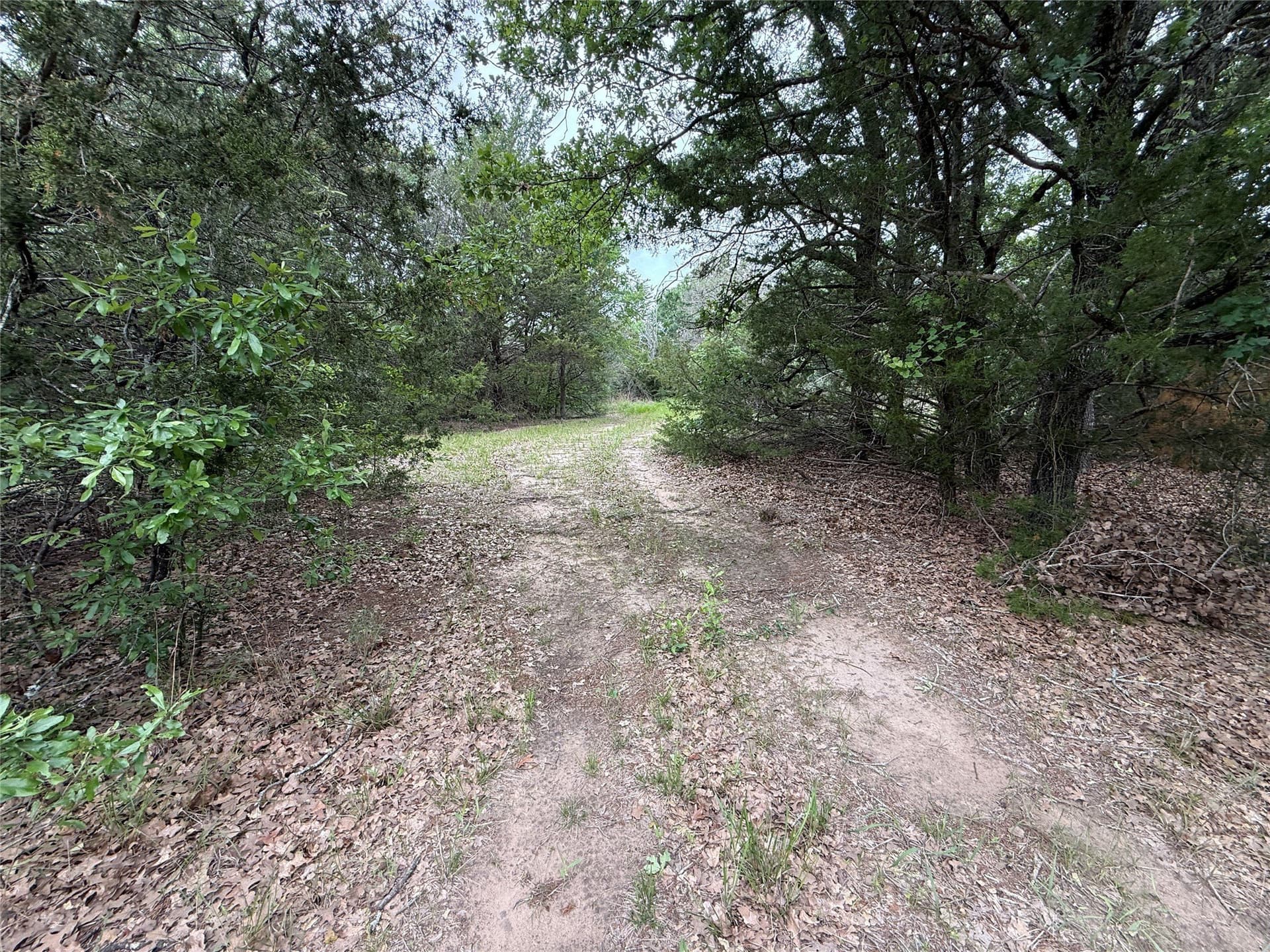 27.54 acres in Navarro County - photo 18