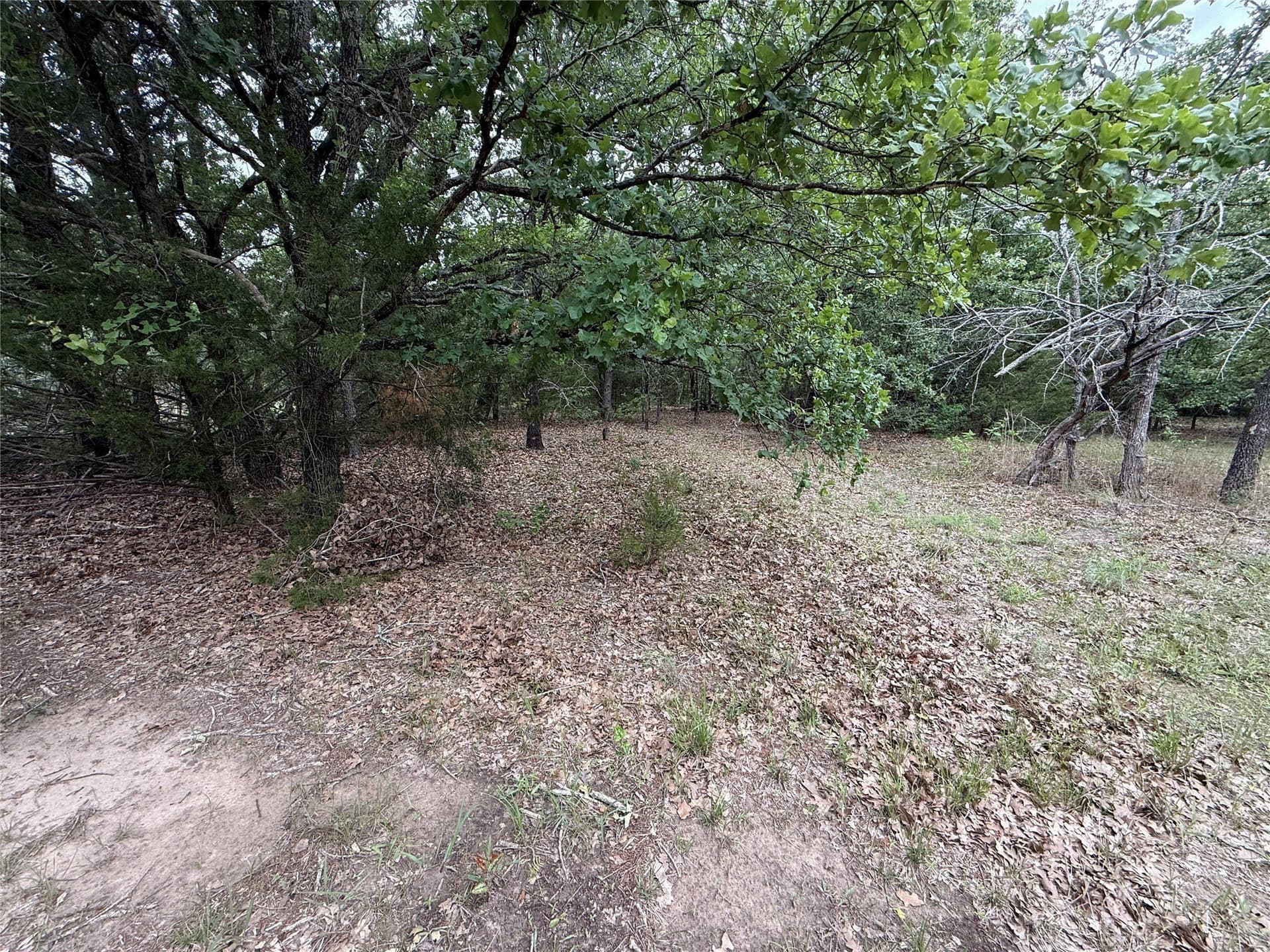 27.54 acres in Navarro County - photo 17