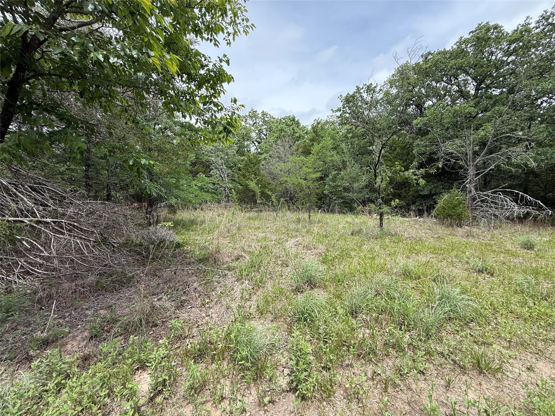 27.54 acres in Navarro County - photo 8