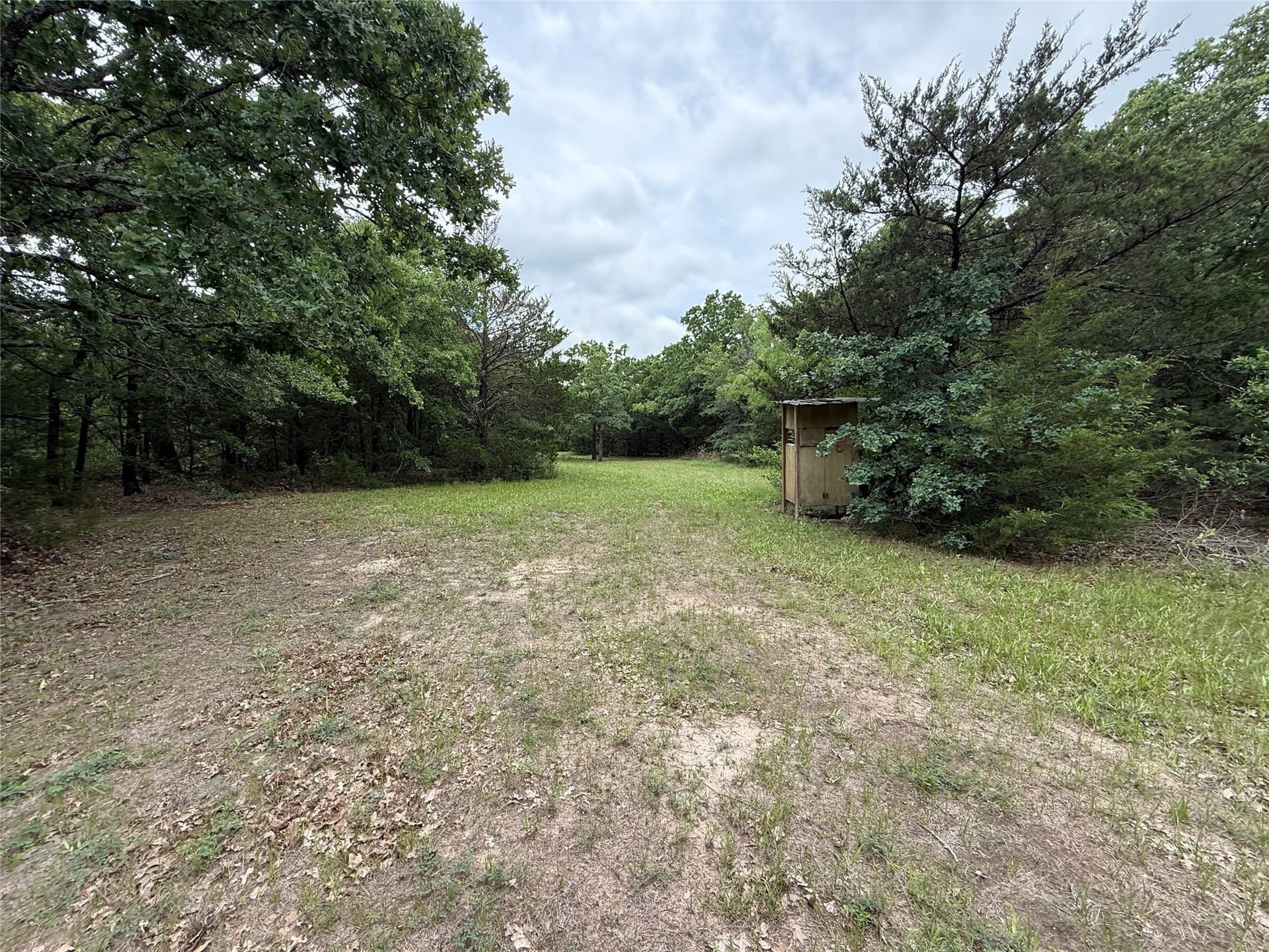 27.54 acres in Navarro County - photo 13
