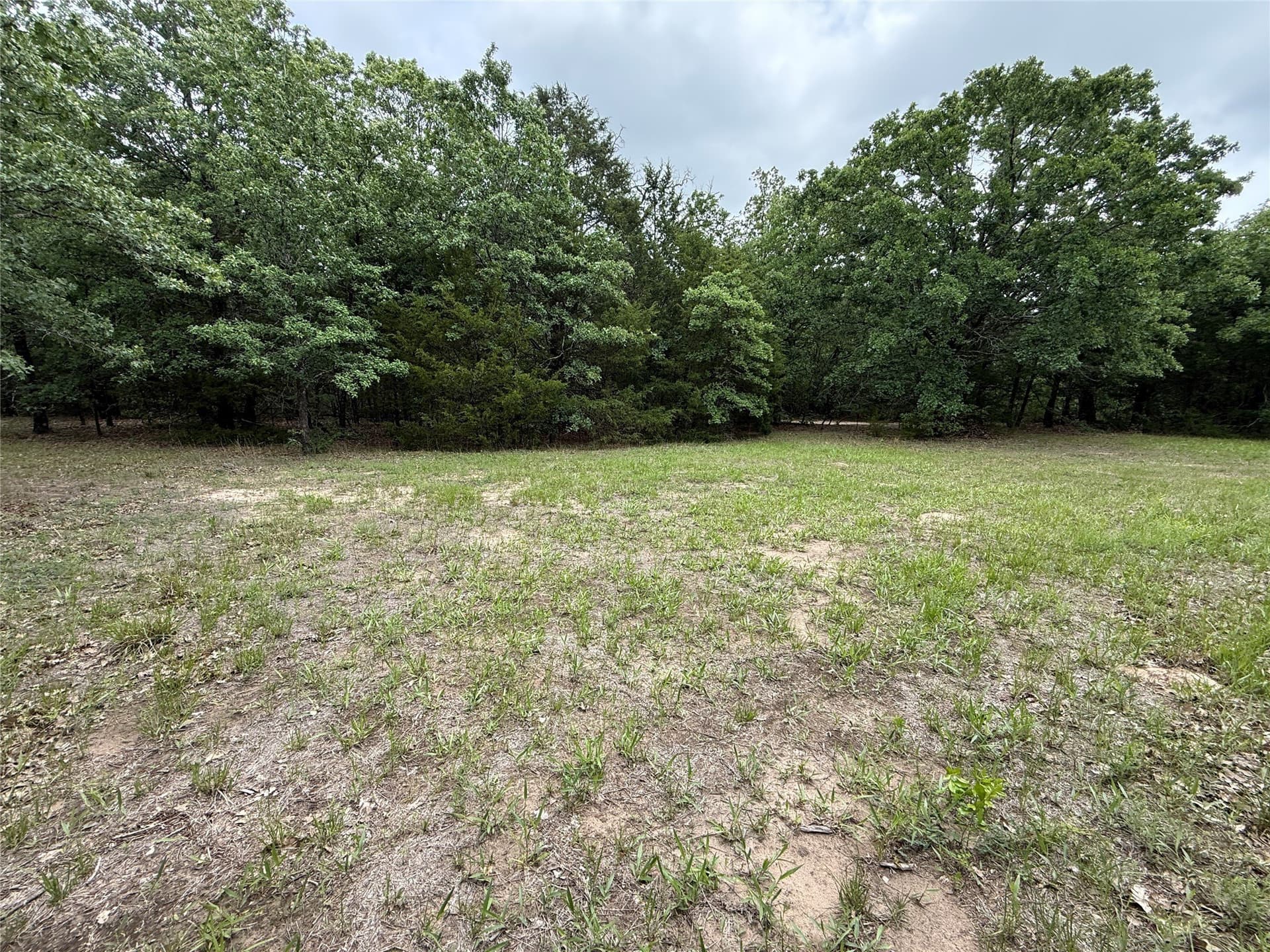 27.54 acres in Navarro County - photo 12