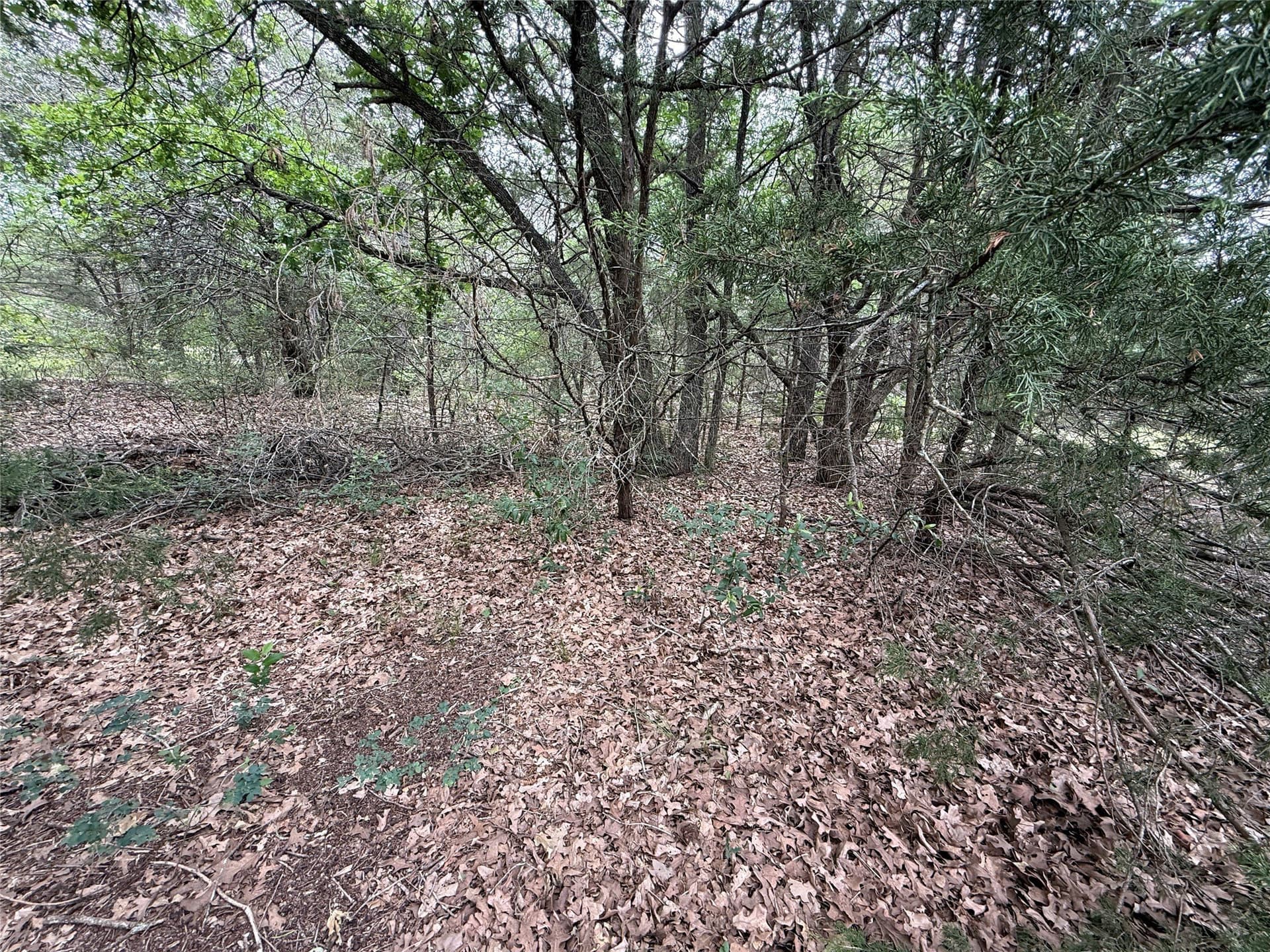 27.54 acres in Navarro County - photo 22