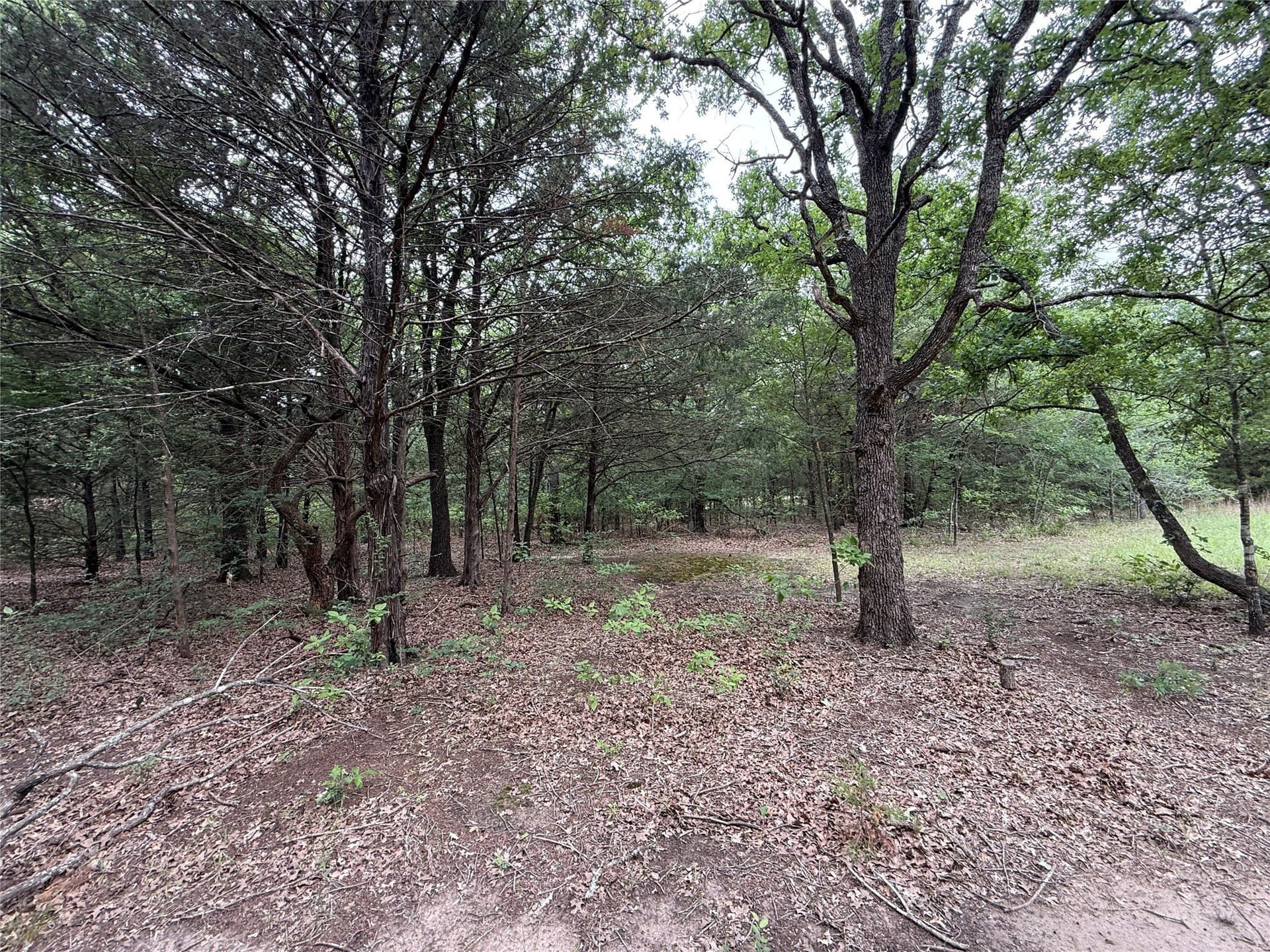 27.54 acres in Navarro County - photo 32