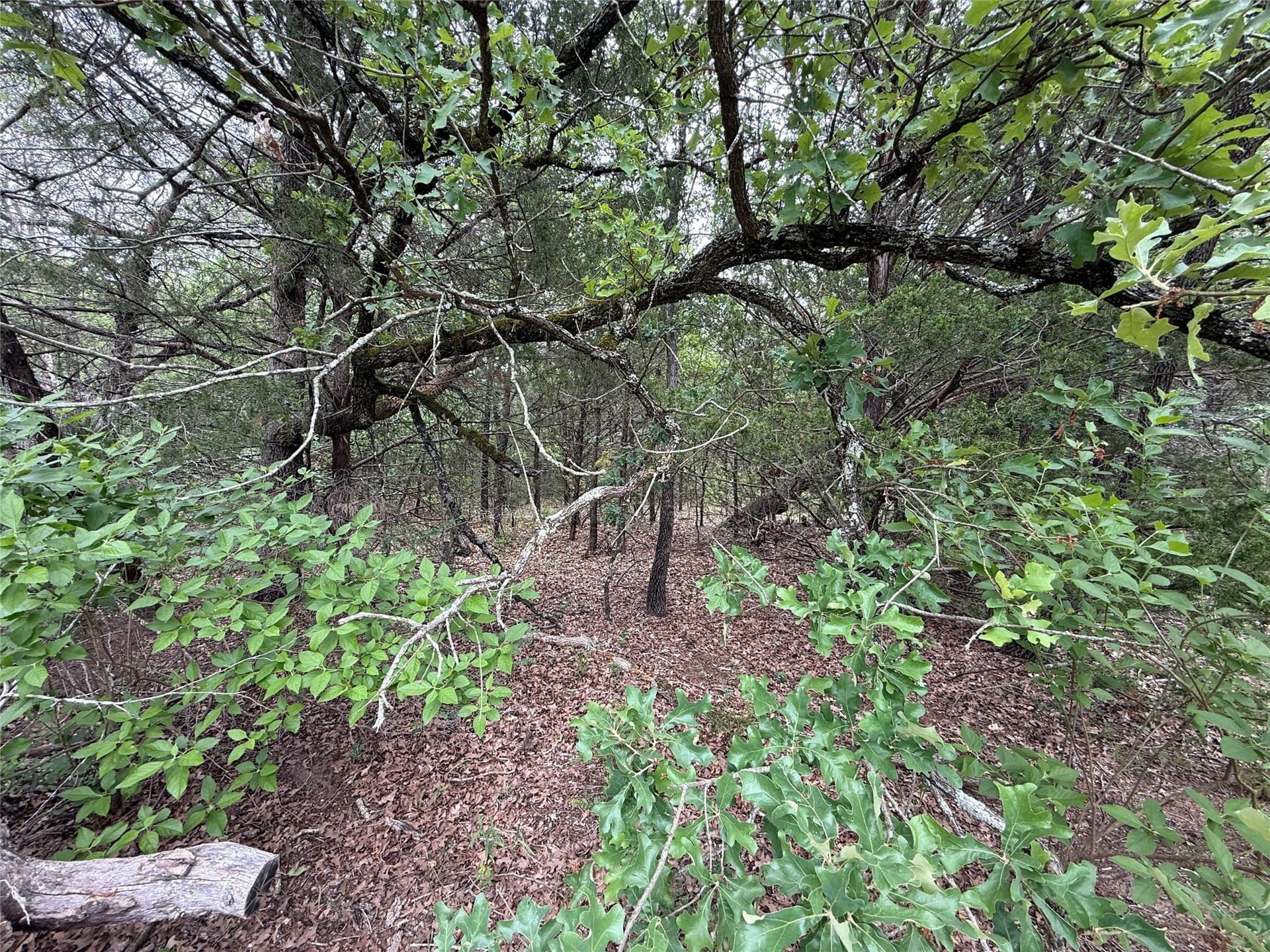 27.54 acres in Navarro County - photo 29