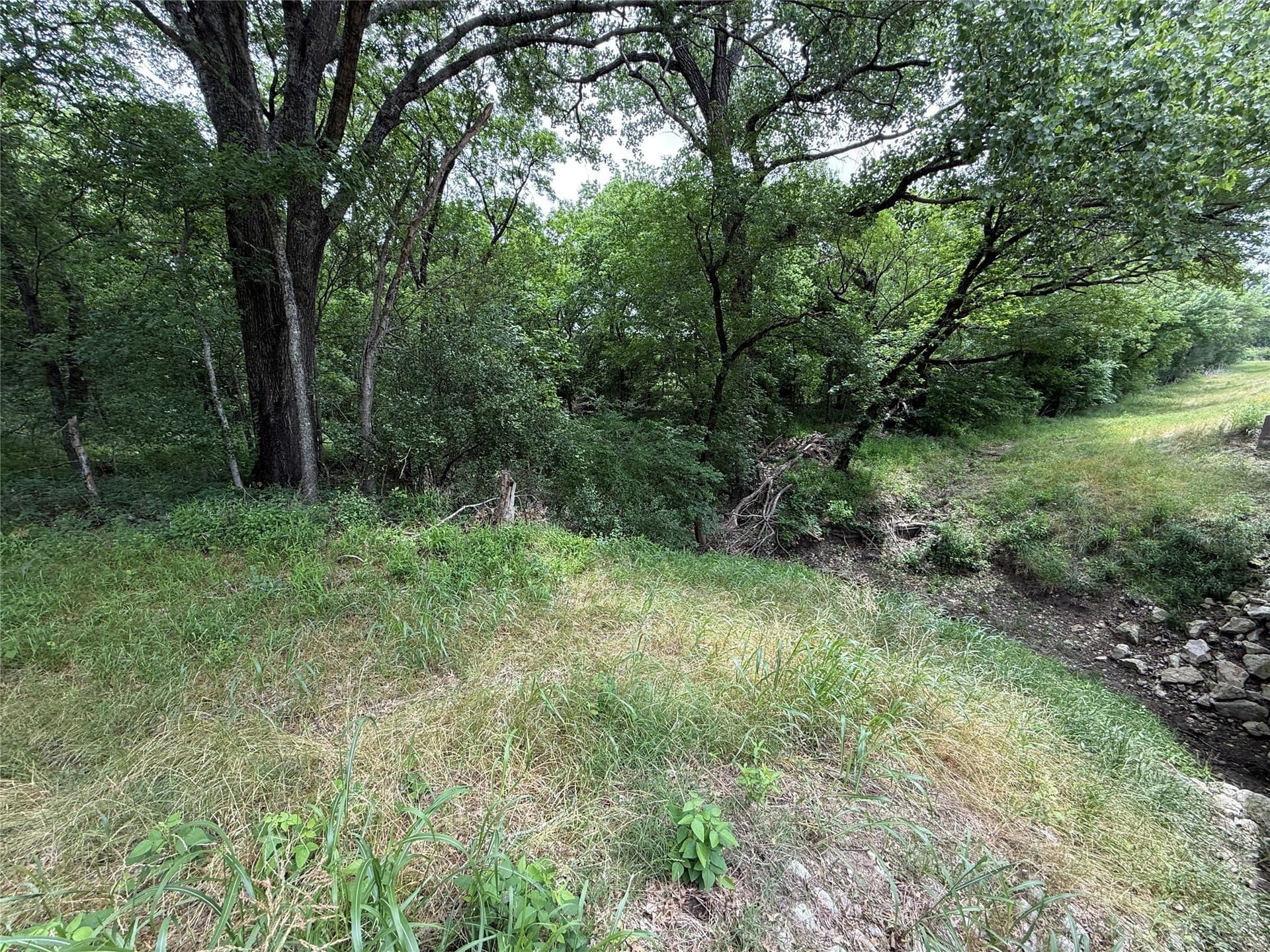 27.54 acres in Navarro County - photo 35