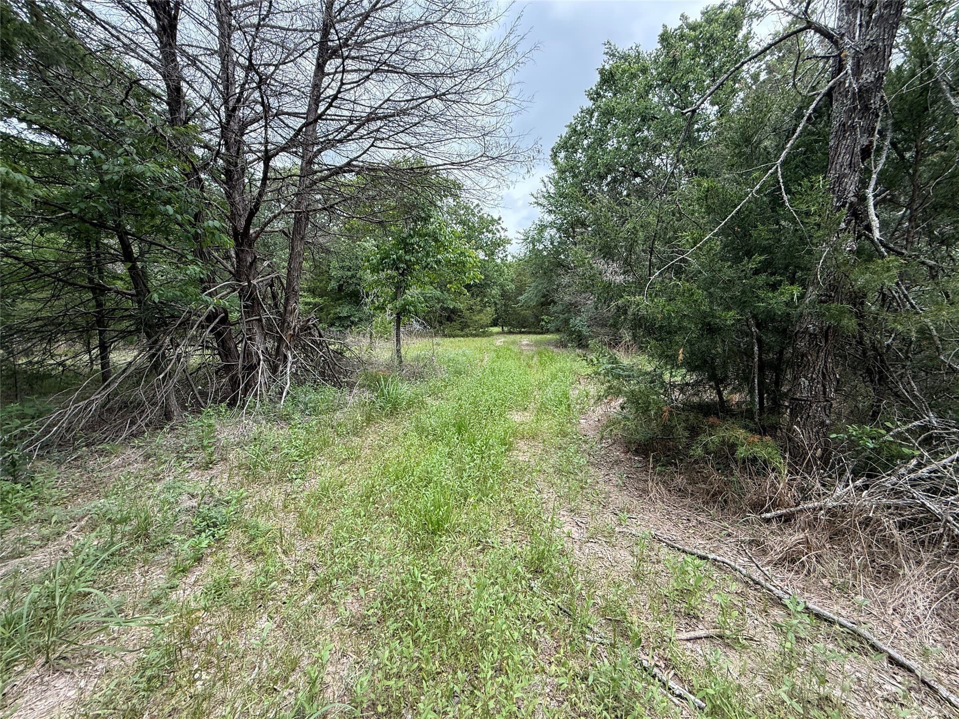 27.54 acres in Navarro County - photo 6