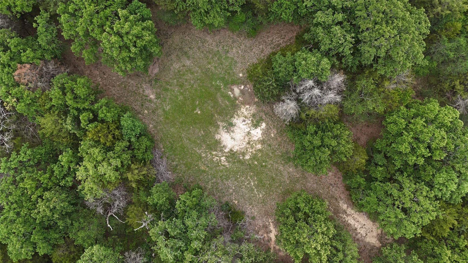 27.54 acres in Navarro County - photo 21