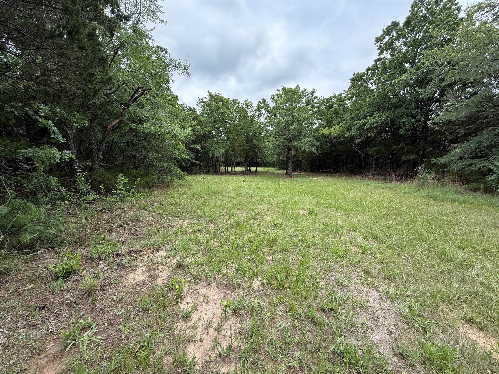 27.54 acres in Navarro County - photo 9