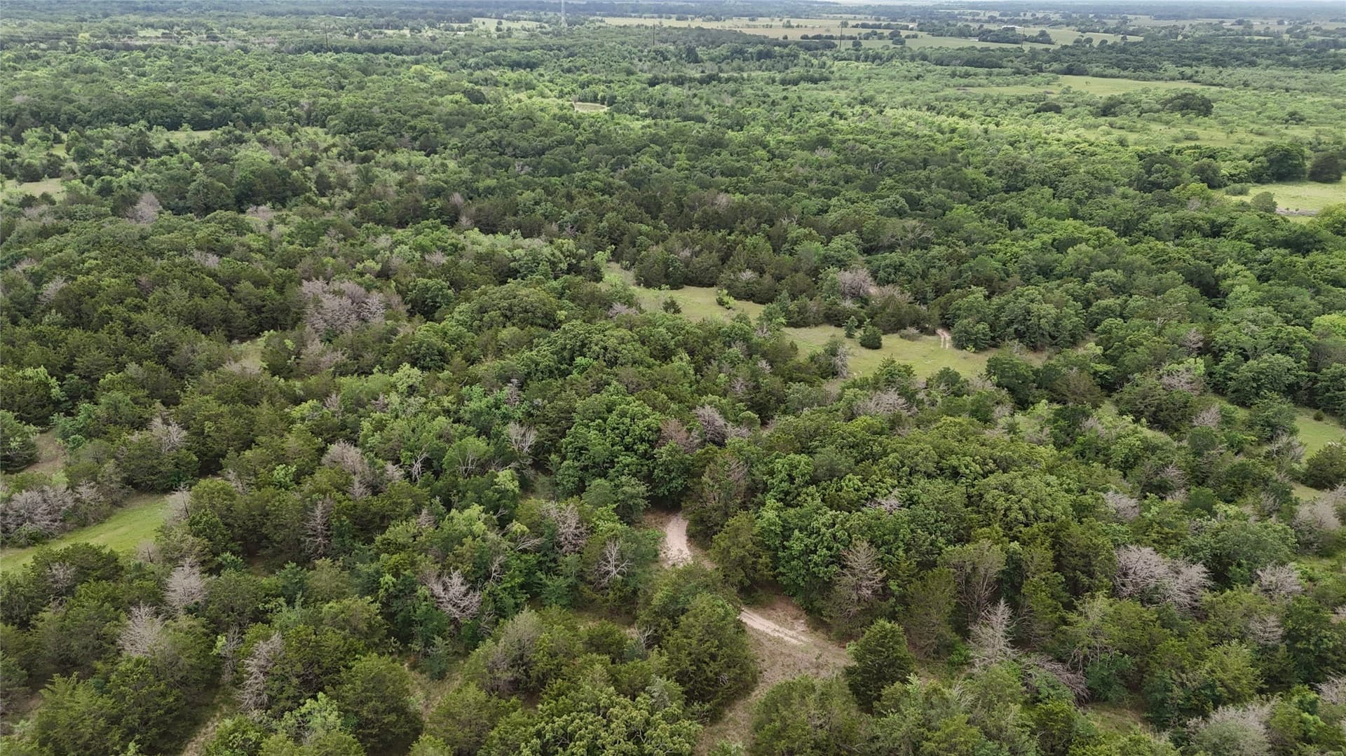 27.54 acres in Navarro County - photo 11