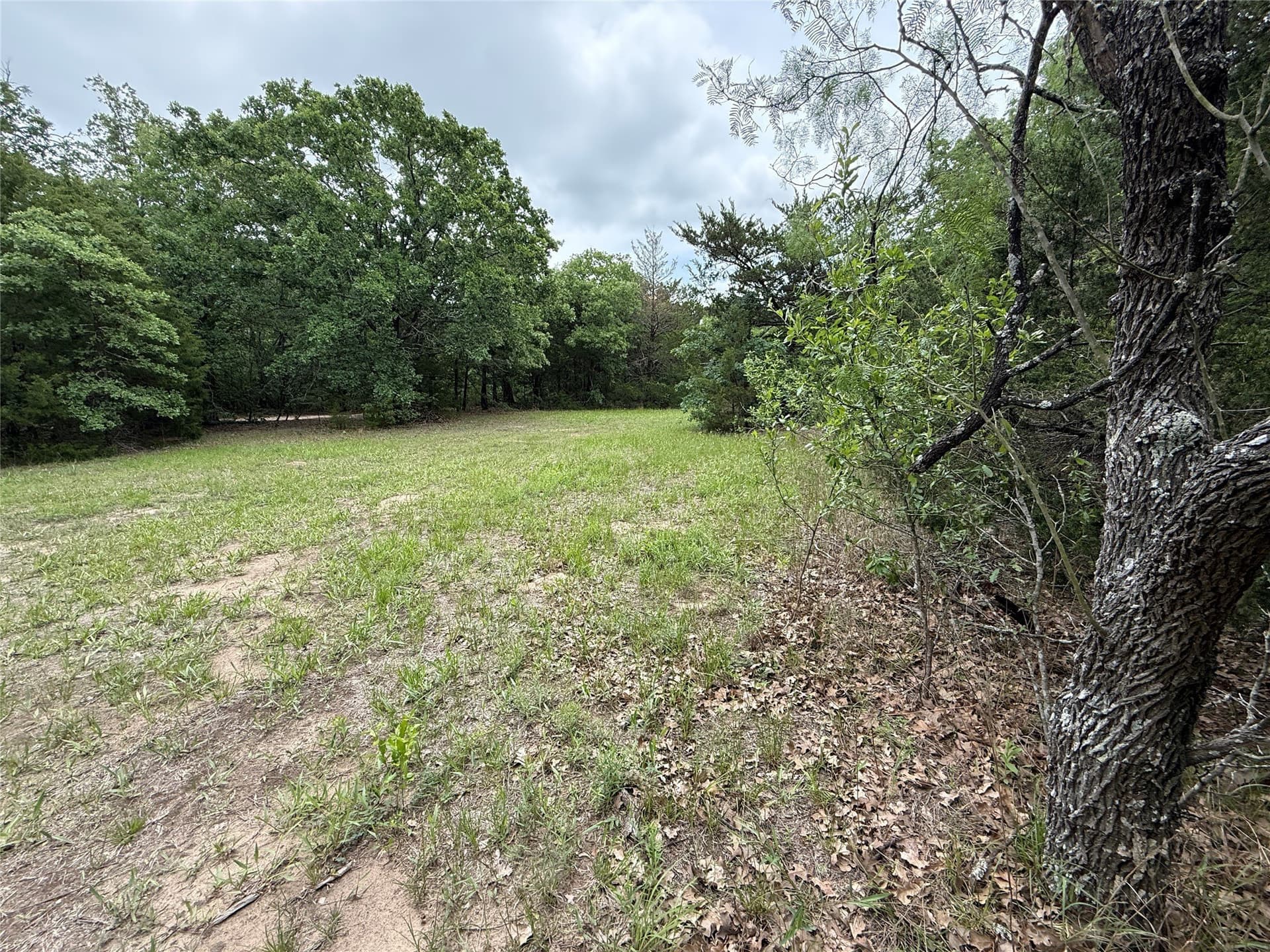 27.54 acres in Navarro County - photo 10
