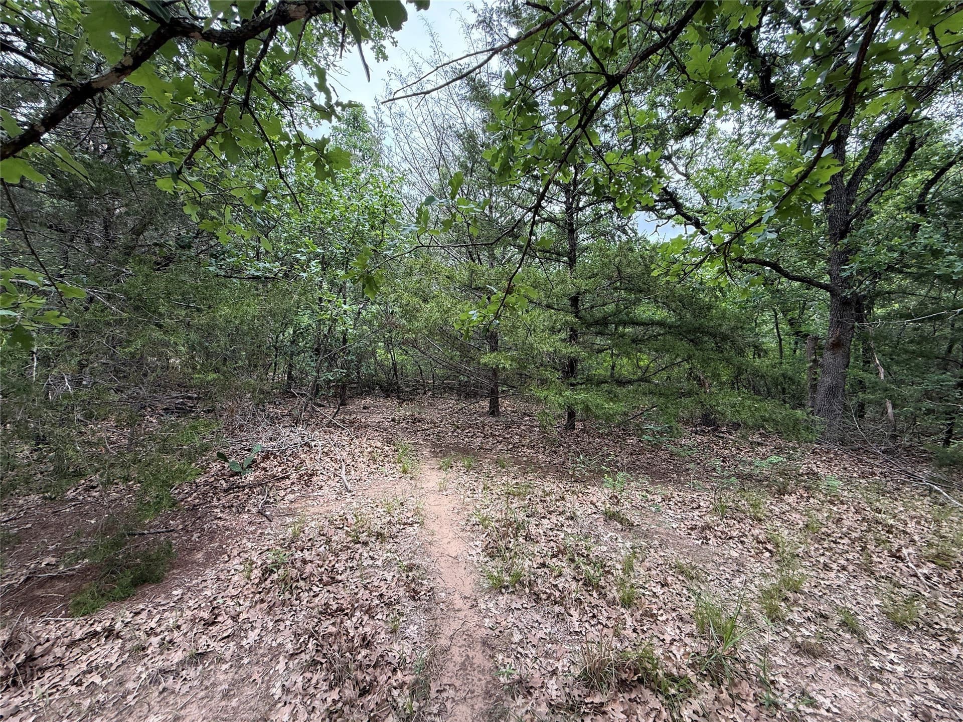 27.54 acres in Navarro County - photo 25