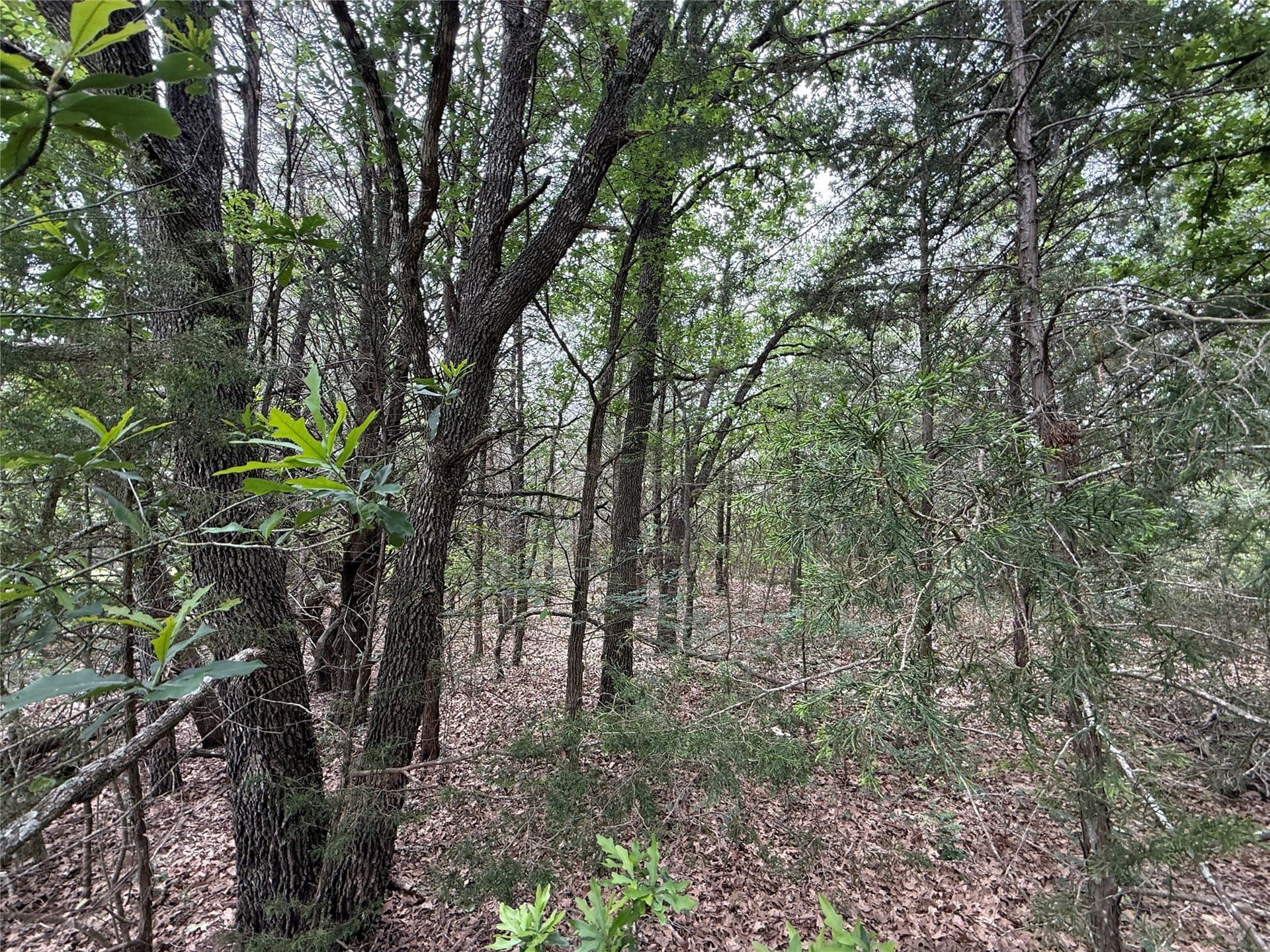 27.54 acres in Navarro County - photo 24