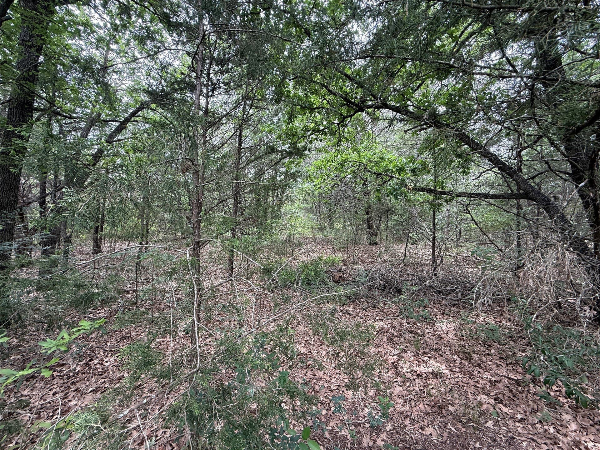 27.54 acres in Navarro County - photo 23