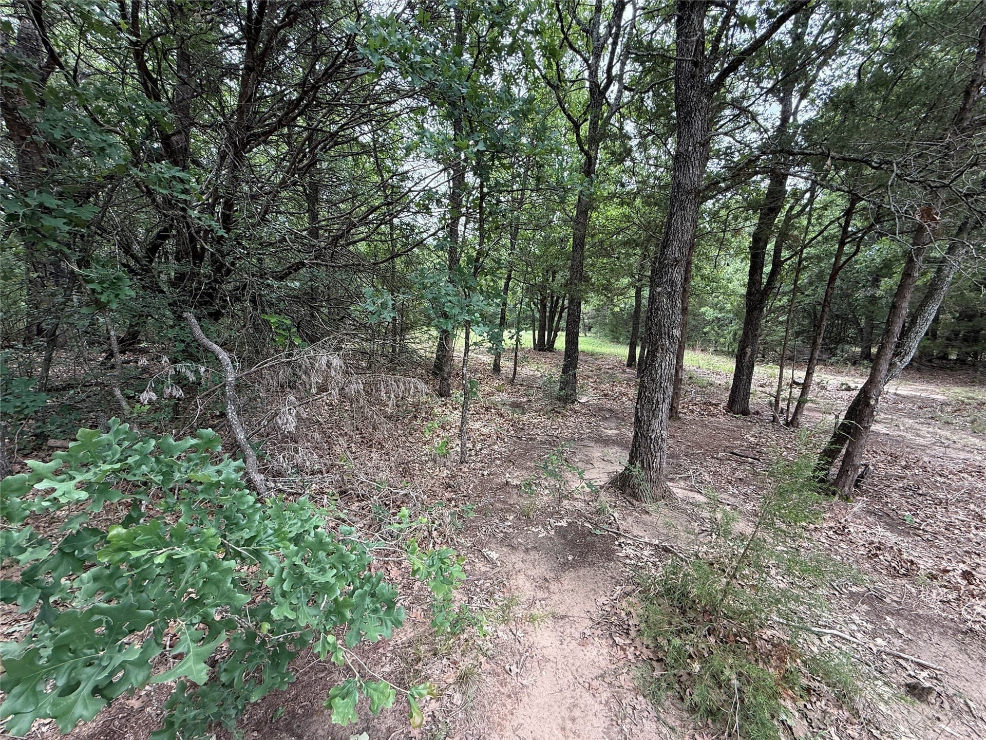 27.54 acres in Navarro County - photo 26