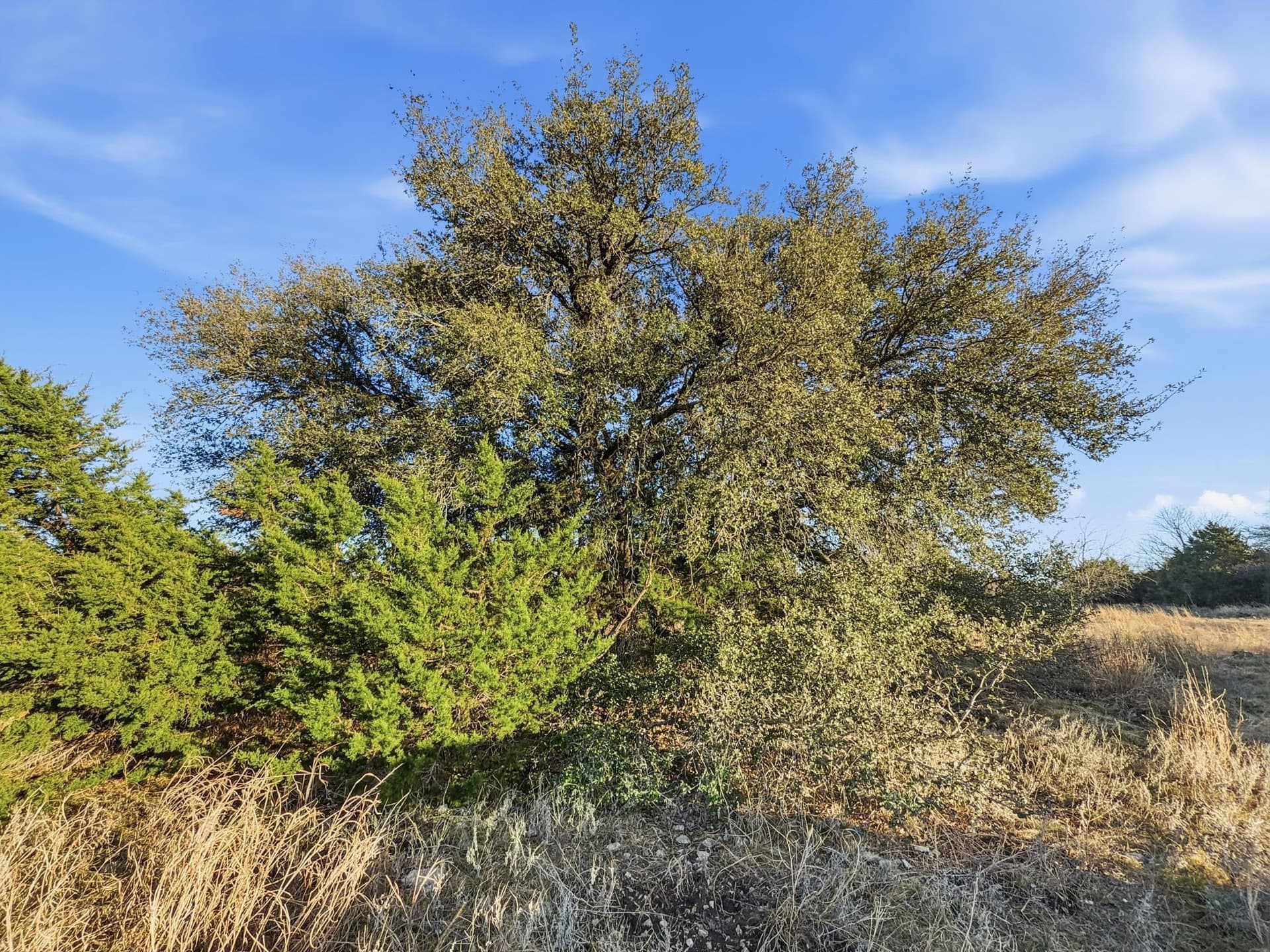 83.5 acres in Hamilton County - photo 29