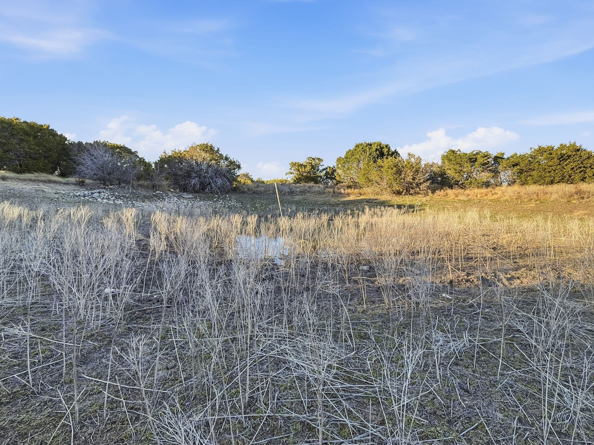 83.5 acres in Hamilton County - photo 28