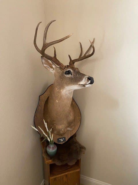 83.5 acres in Hamilton County - photo 35