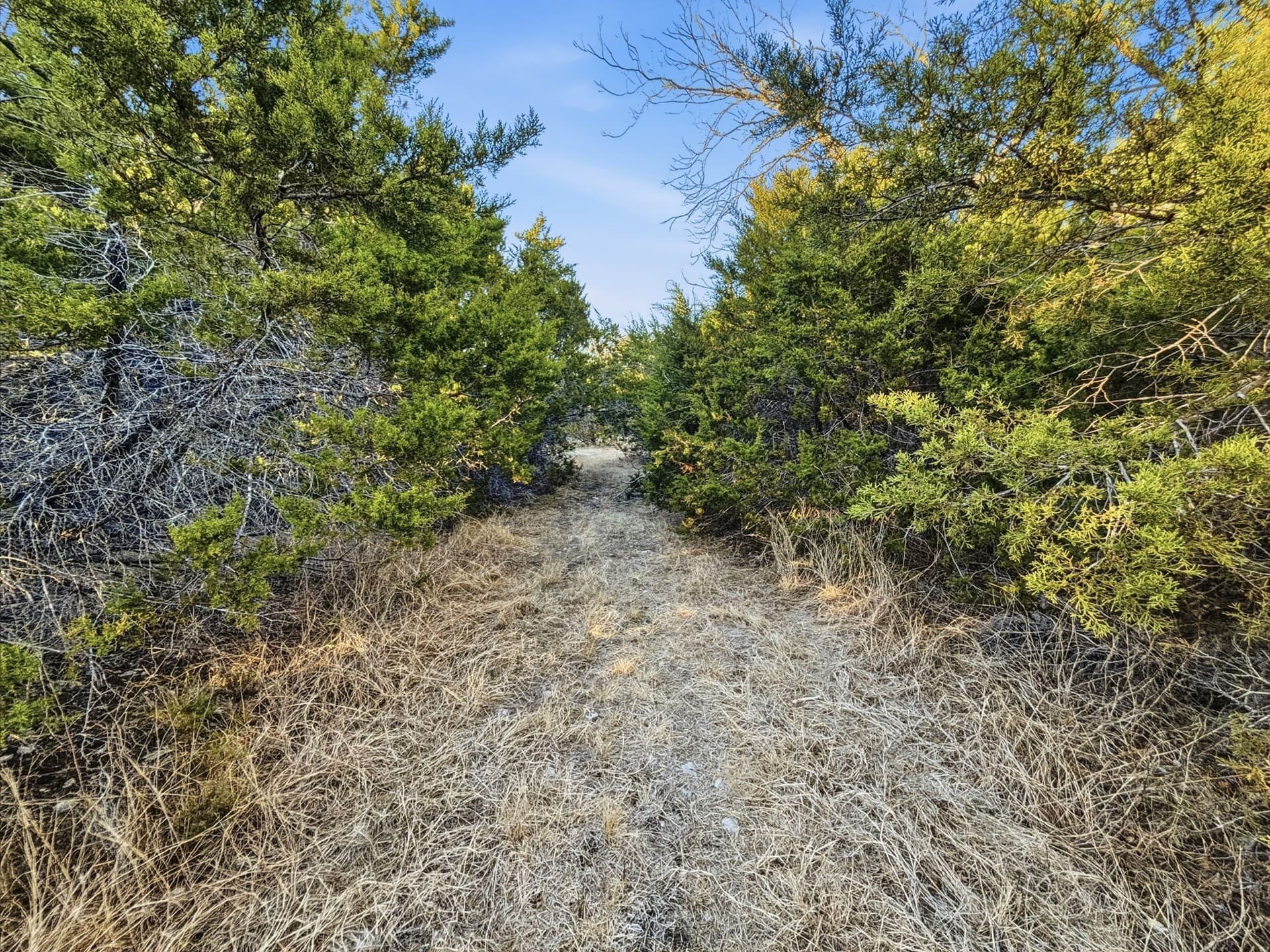 83.5 acres in Hamilton County - photo 26