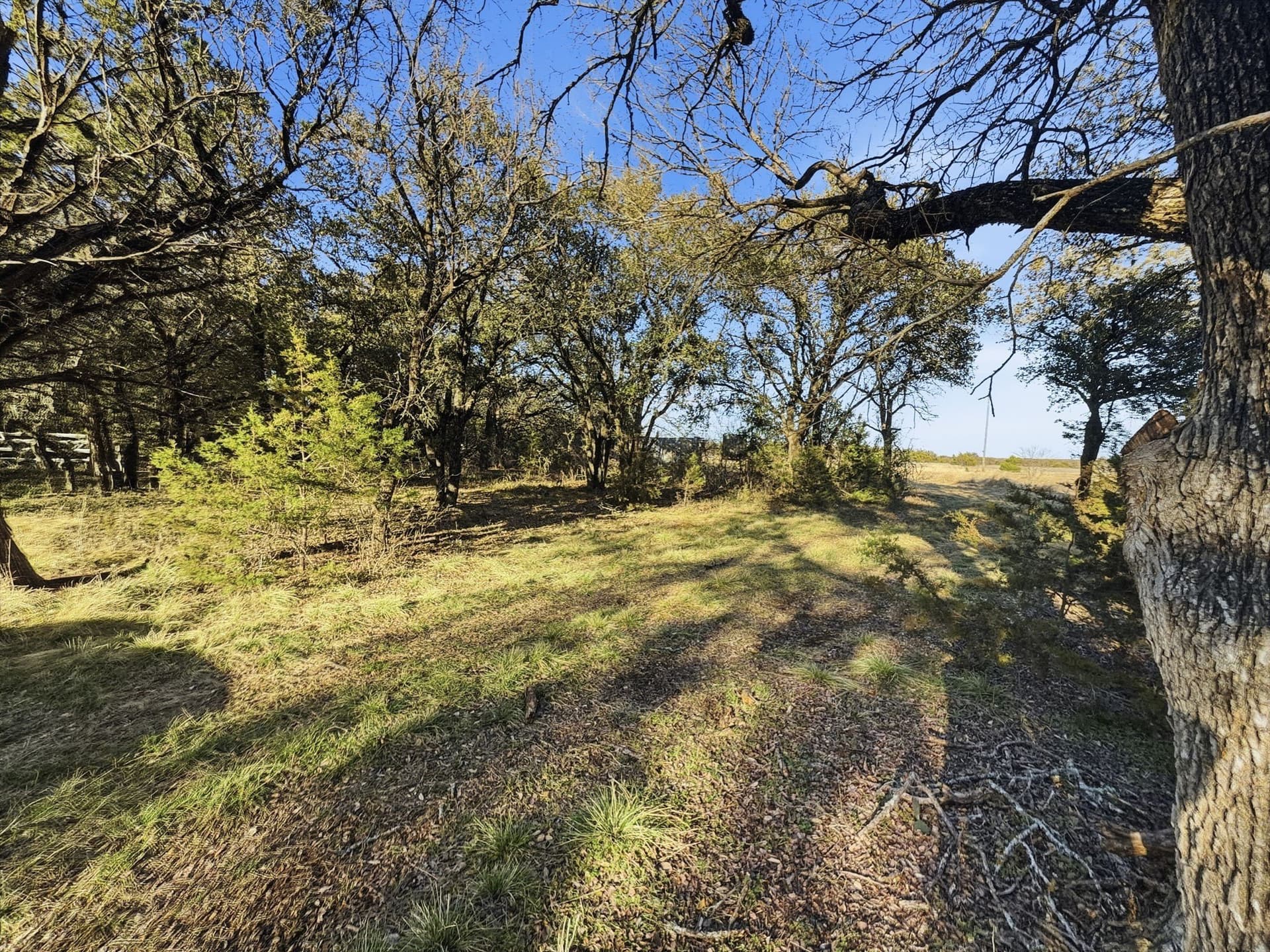 83.5 acres in Hamilton County - photo 19