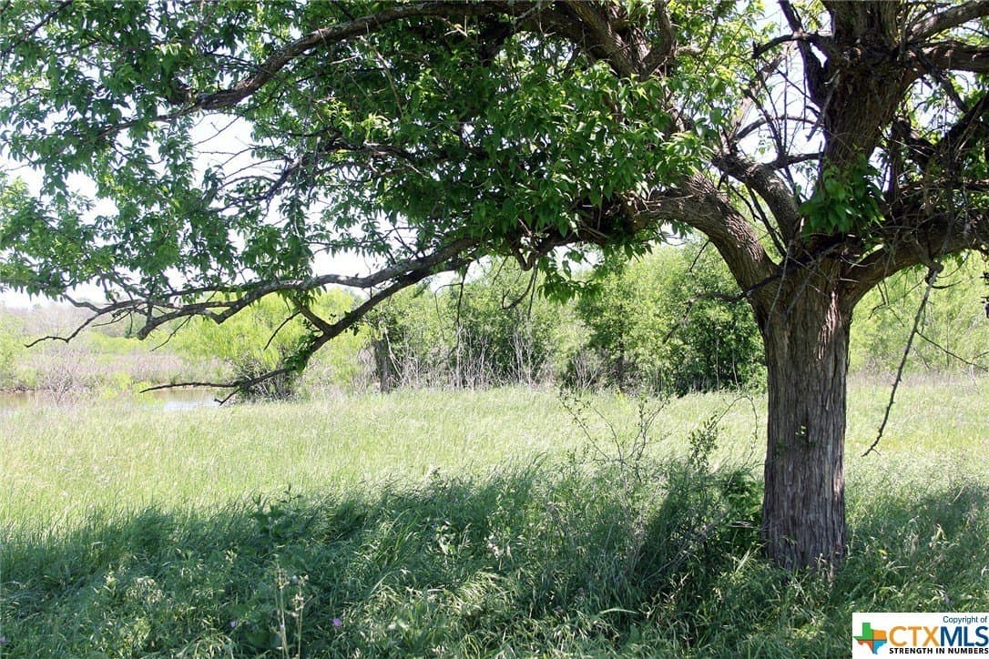 10.22 acres in Caldwell County featured view