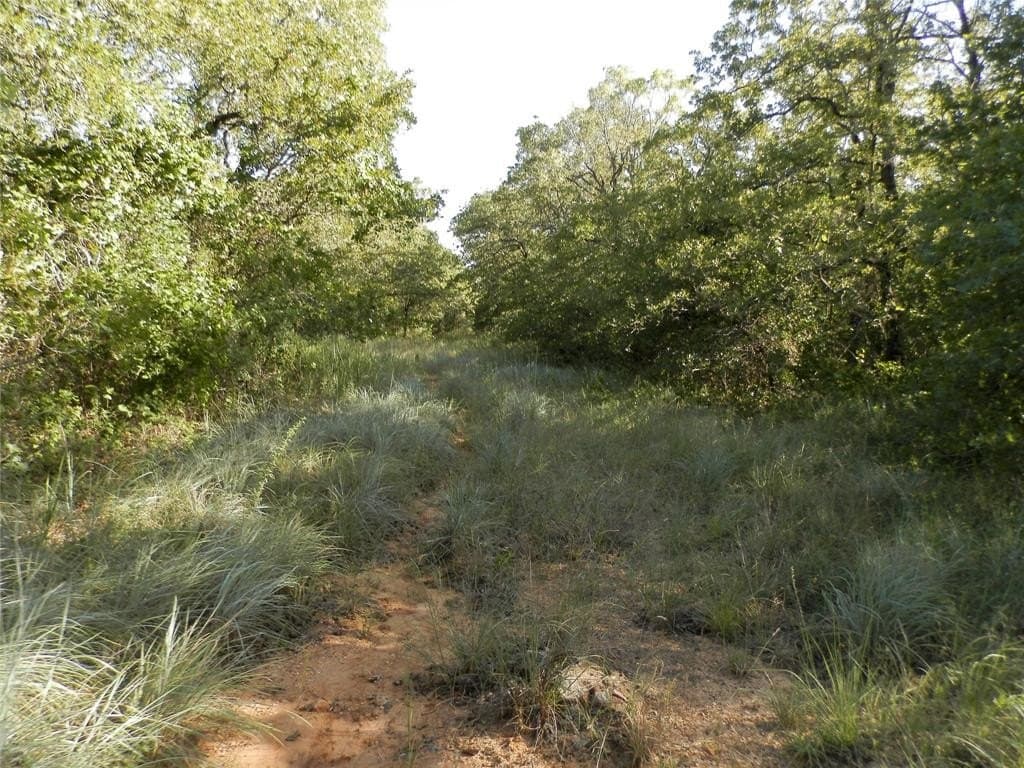 40.17 acres in Wise County gallery image 3