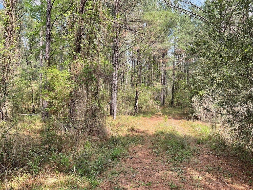 6.23 acres in Texas County featured view