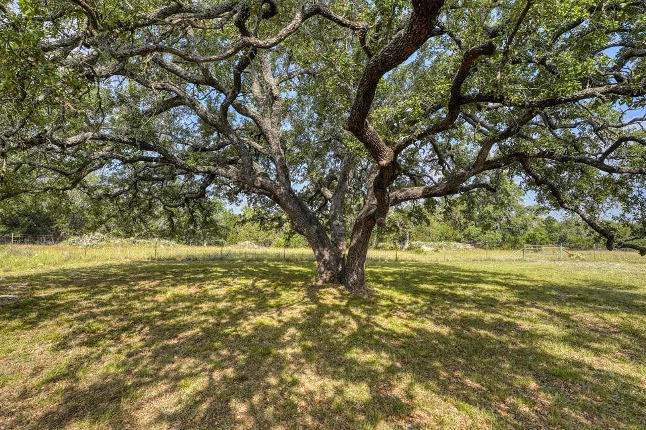 10 acres in Burnet County - photo 24