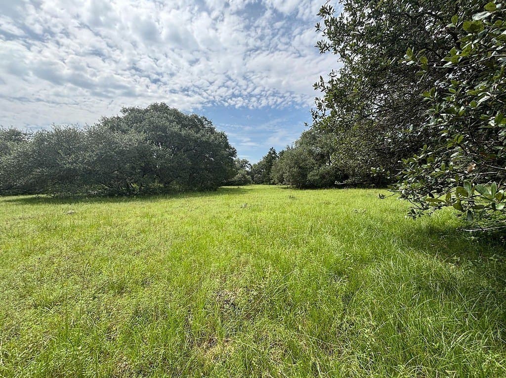 119.84 acres in Austin County