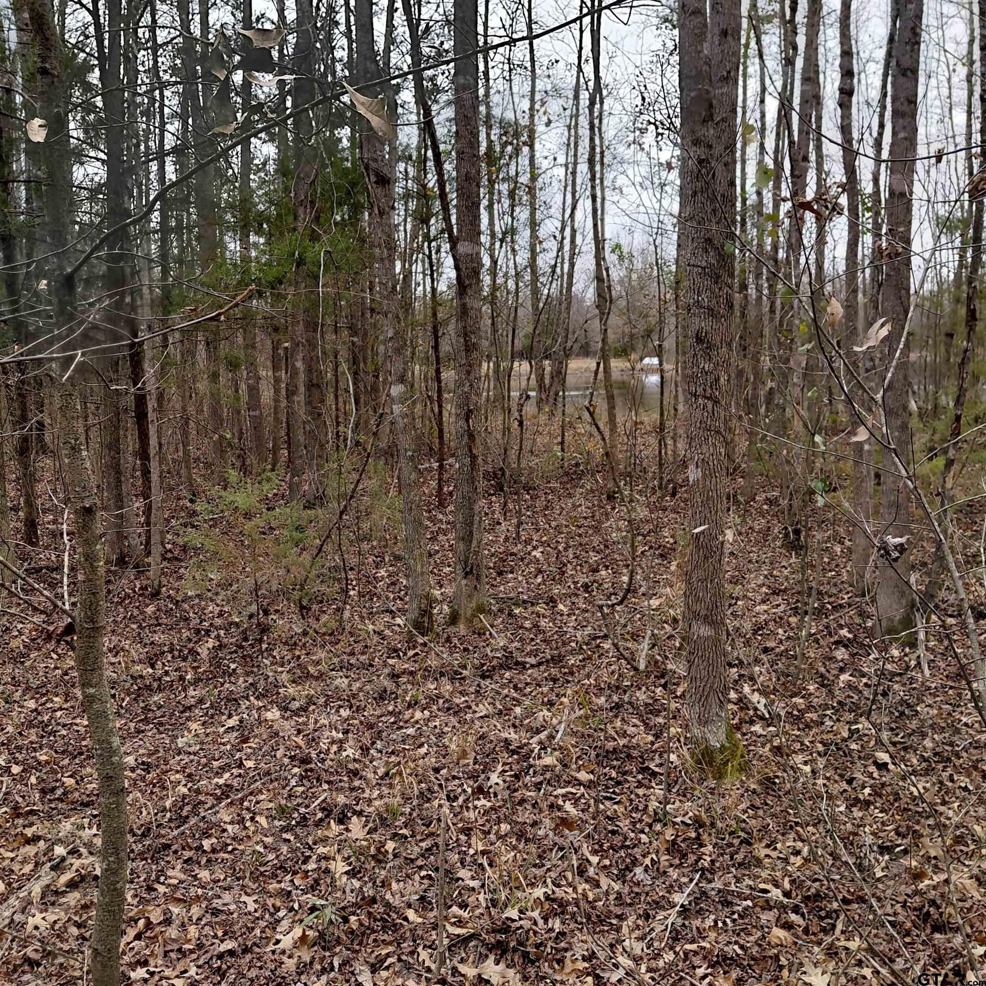 46.6 acres in Bowie County - photo 11