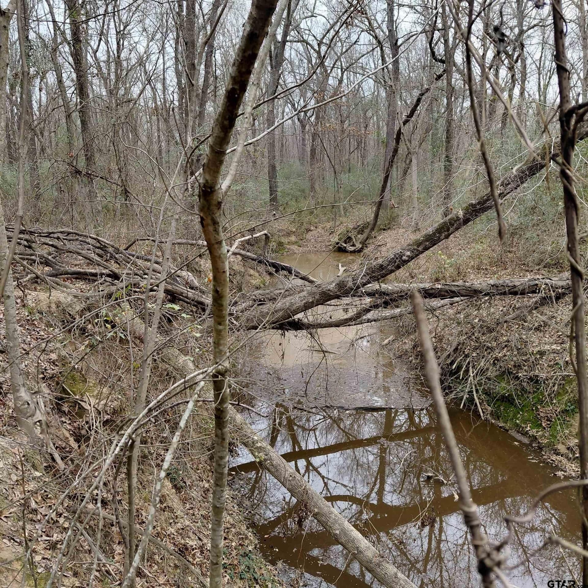46.6 acres in Bowie County - photo 9