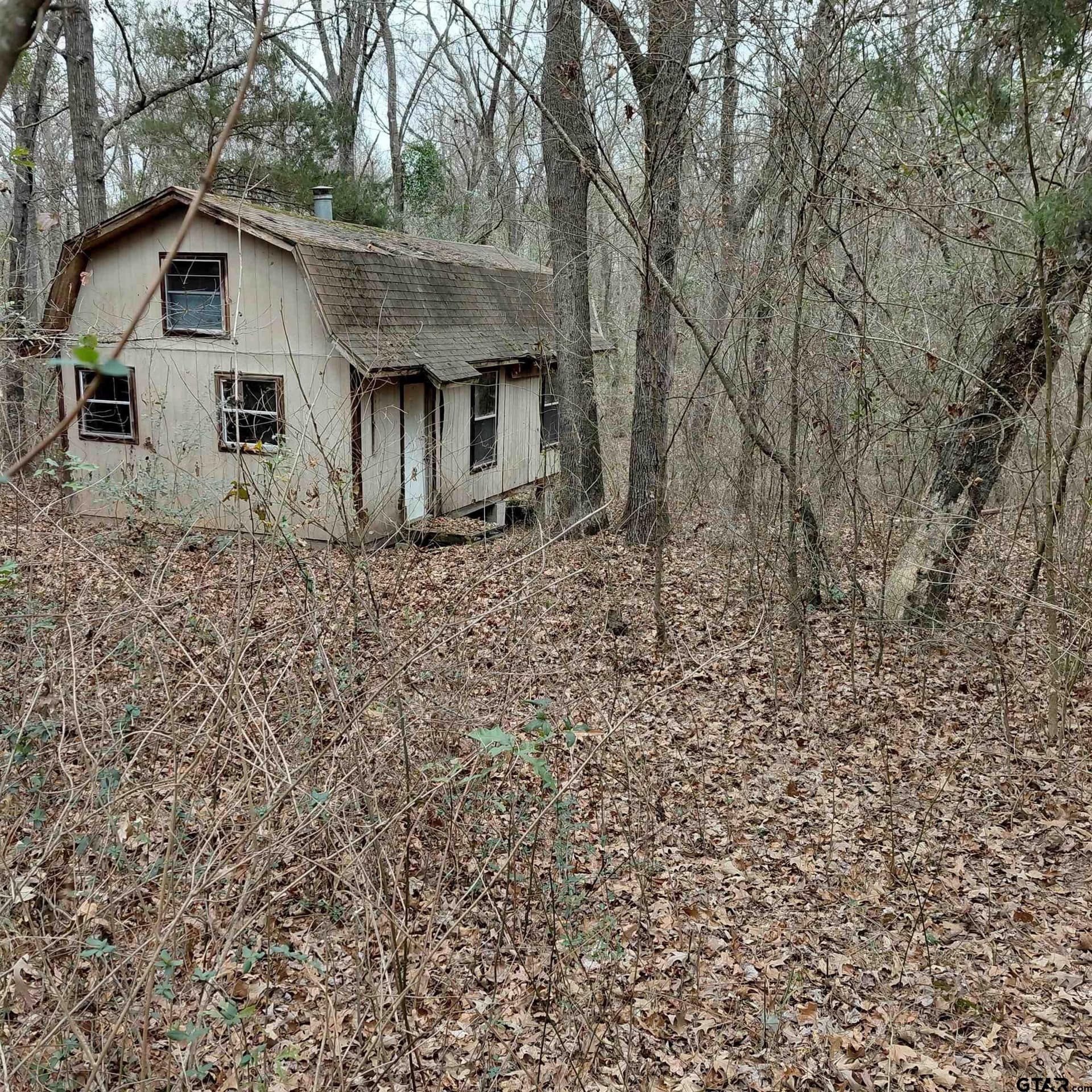 46.6 acres in Bowie County - photo 12