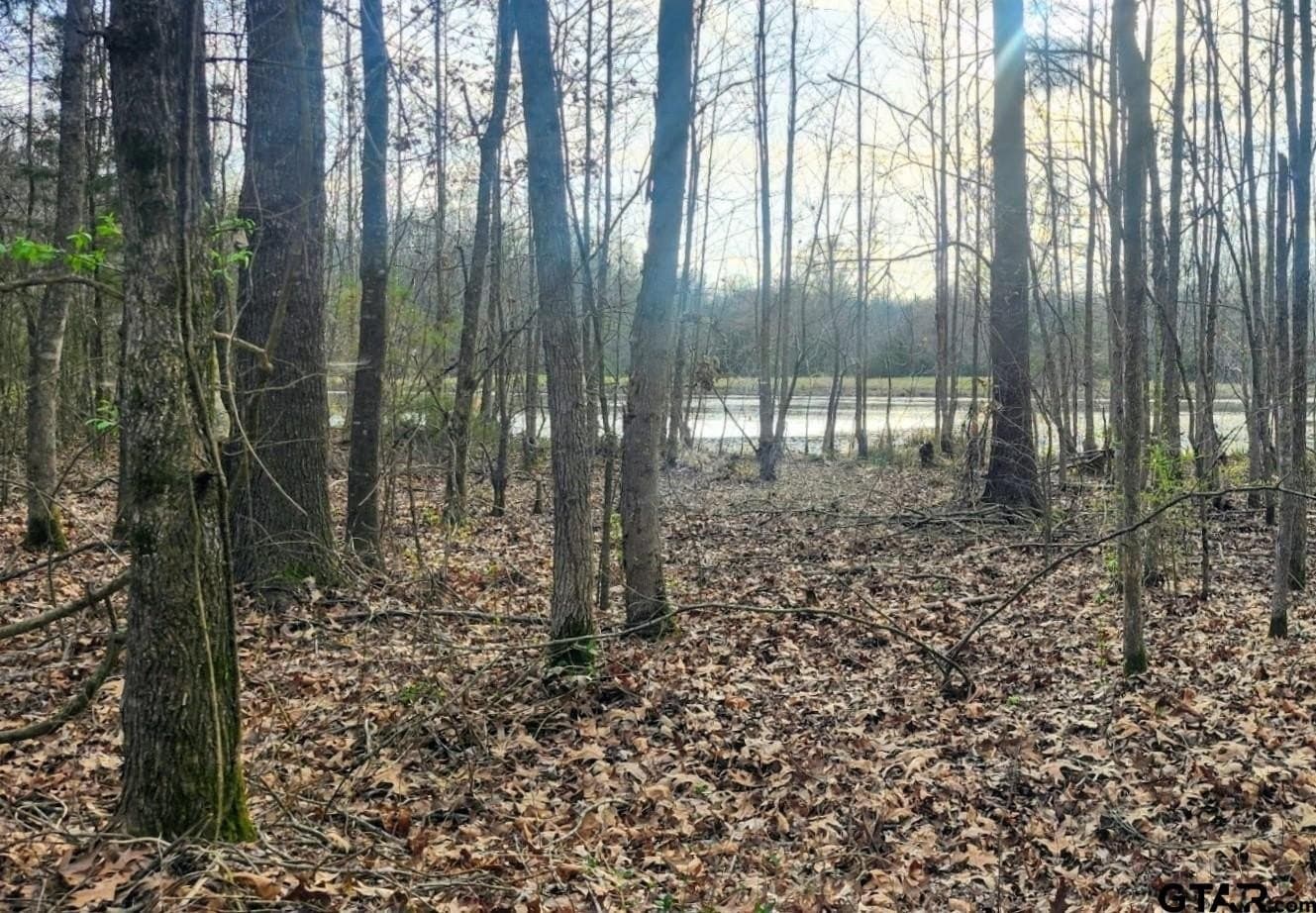 46.6 acres in Bowie County - photo 13