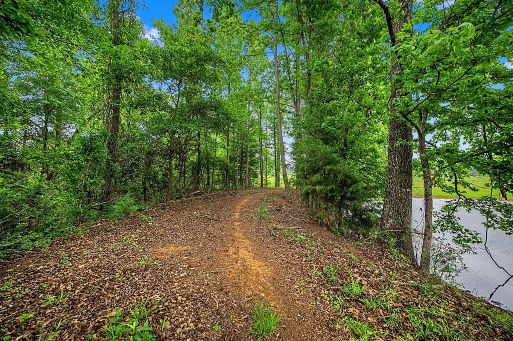 55.37 acres in Texas County - photo 25