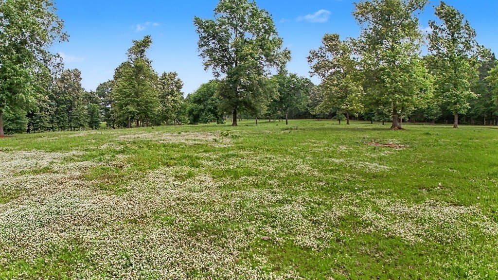 55.37 acres in Texas County - photo 26
