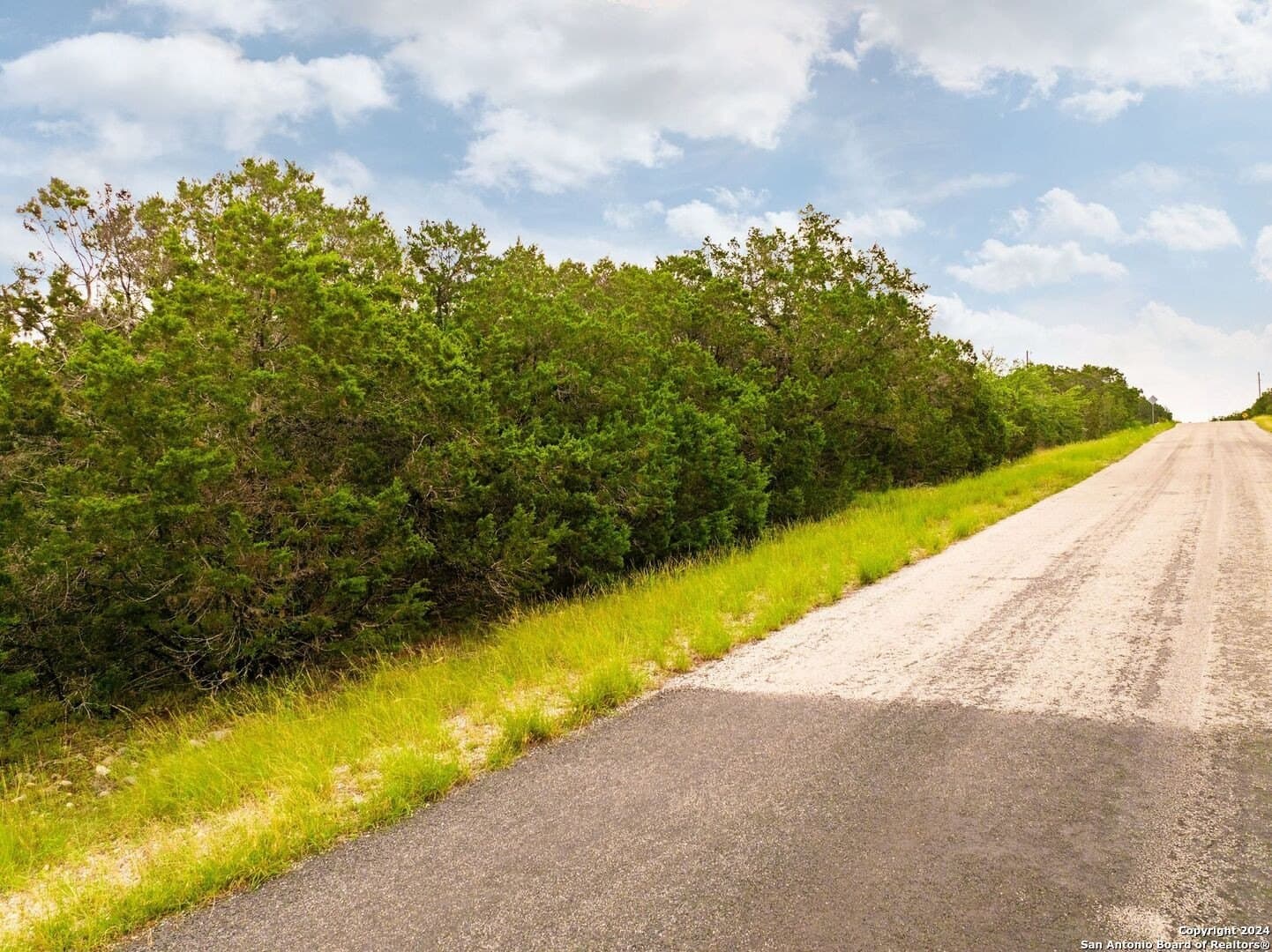 1.01 acres in Comal County - photo 21