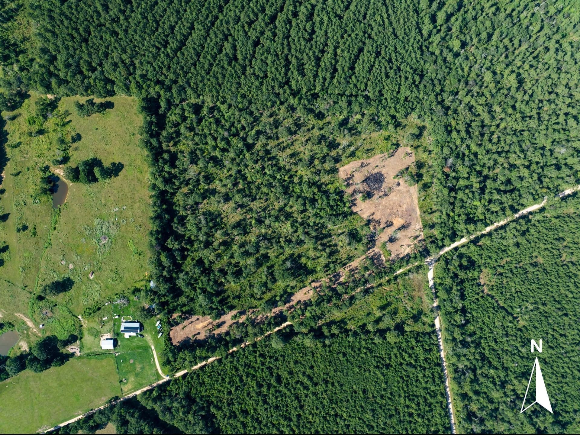 14 acres in Polk County featured view