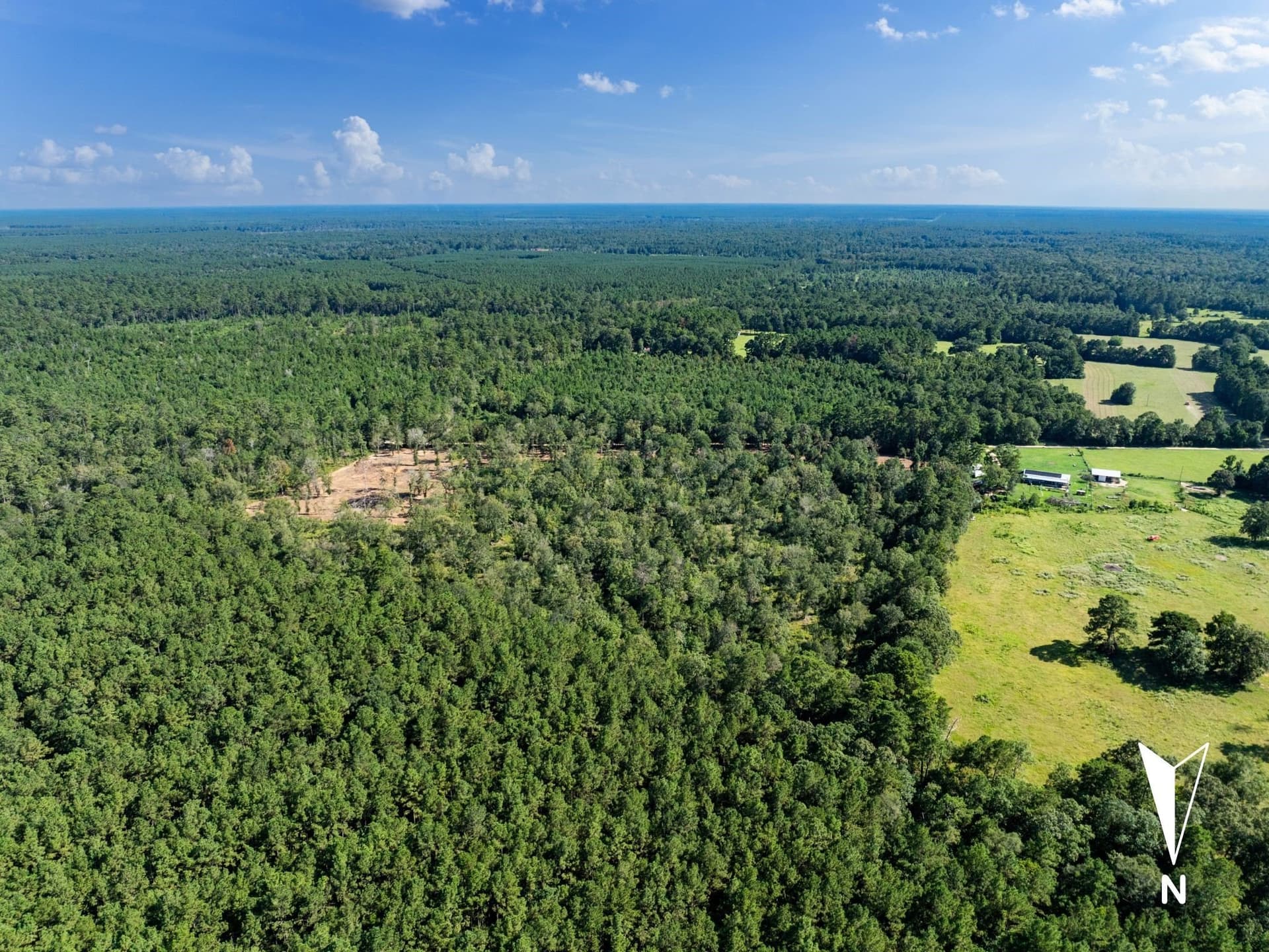 14 acres in Polk County gallery image 4
