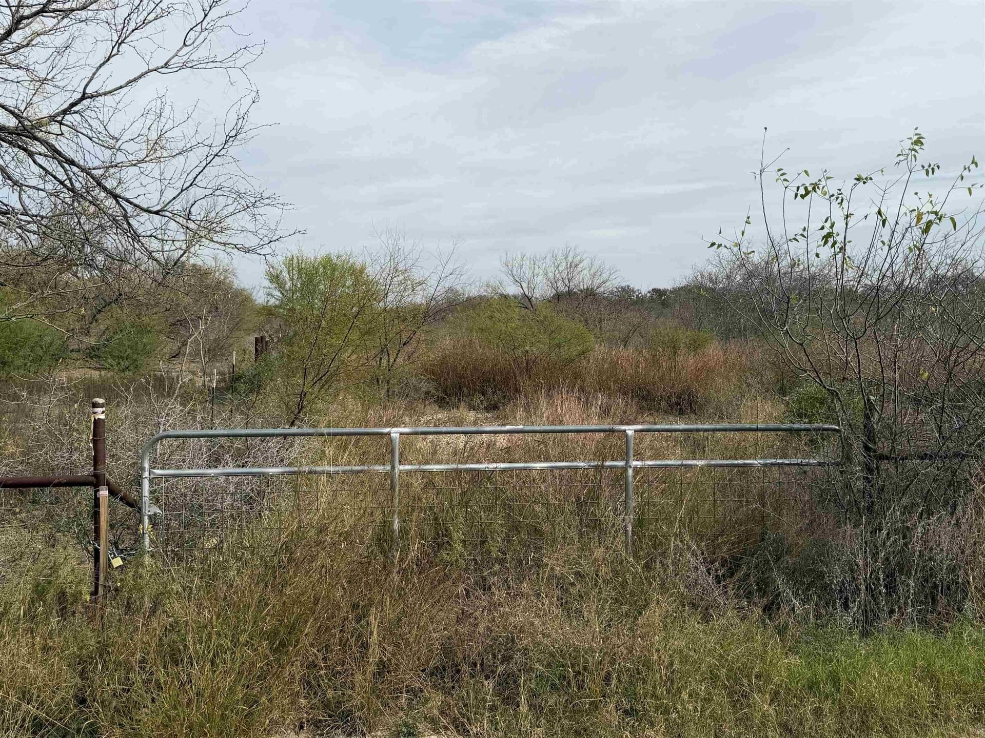 65.98 acres in Val Verde County gallery image 2