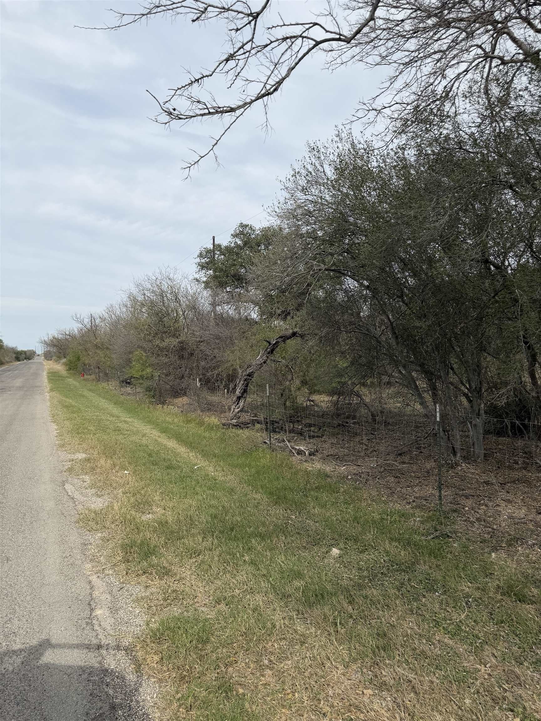 65.98 acres in Val Verde County gallery image 4