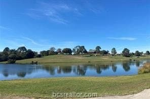 0.6 acres in Leon County gallery image 2
