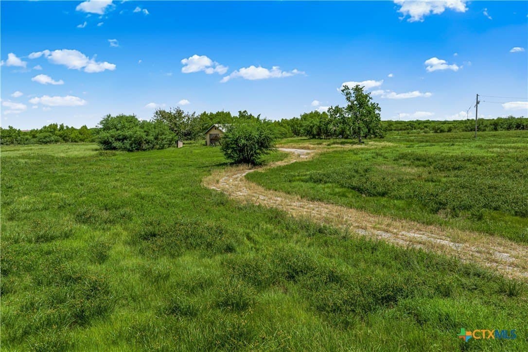 16.34 acres in Victoria County - photo 24